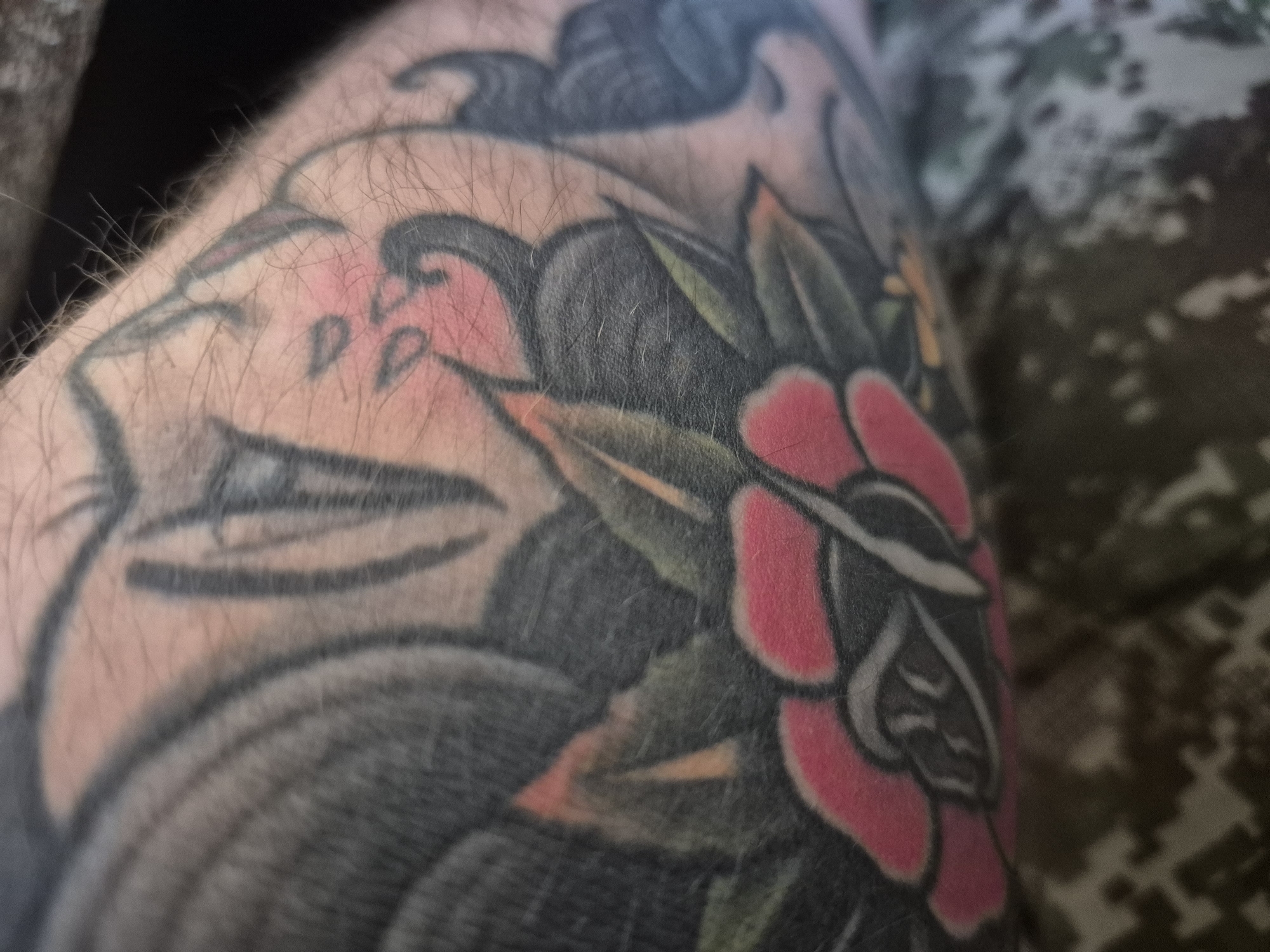 The image is a close-up, high-angle shot of a tattoo on a person's arm. The tattoo appears to be in the traditional American style and features a pink rose with black outlines and green leaves. Behind the rose, there are elements of what appears to be a grey dragon or serpent with black and grey shading. Fine, light-colored hairs are visible on the skin, partially obscuring the tattoo. The background is out of focus and shows a camouflage pattern. The image is undated and no specific location in Vinnytsia, Ukraine can be determined from the visual information provided.