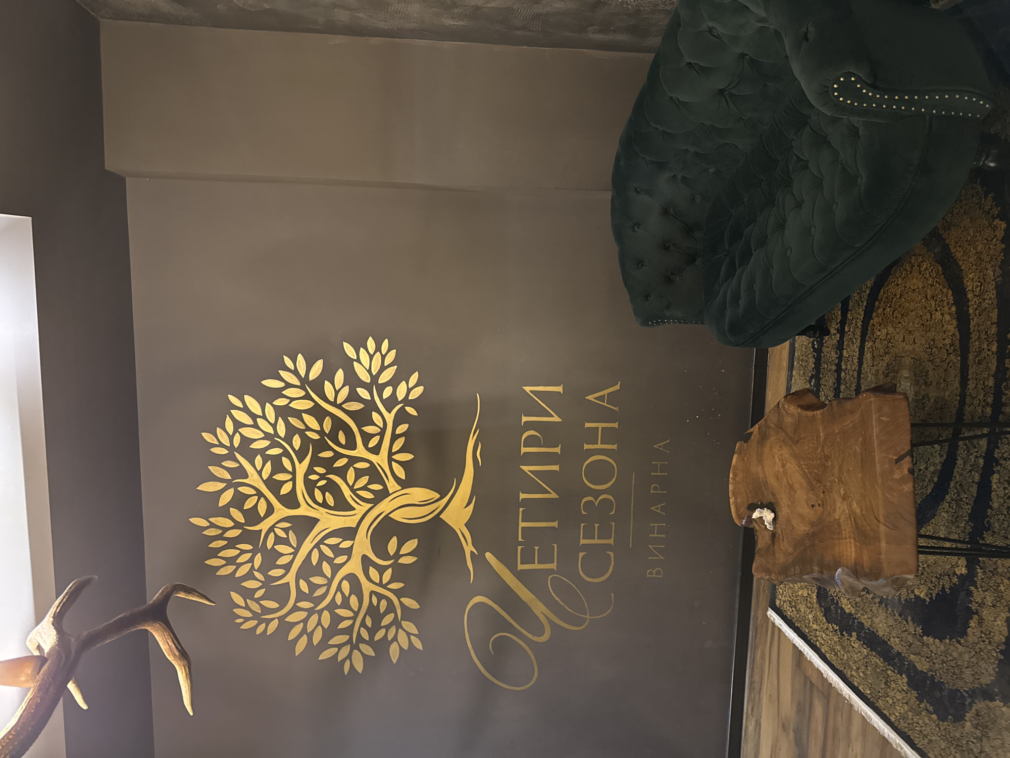 The image shows a portion of a wall within the "Chetyri Sezona" winery located in Blagoevgrad, Bulgaria. The wall is painted a dark gray/brown color. On the wall is a golden-colored decal of a stylized tree with broad branches and many leaves. To the right of the tree is the name "Четири Сезона" (Chetyri Sezona) in Cyrillic script, with the word "ВИНАРНА" (VINARNA) below. A pair of antlers is visible to the left of the tree. To the right of the wall, a green velvet tufted armchair and a wooden side table are partially visible. A rug with a patterned design is partially visible beneath the side table. The lighting appears to be soft and diffused.