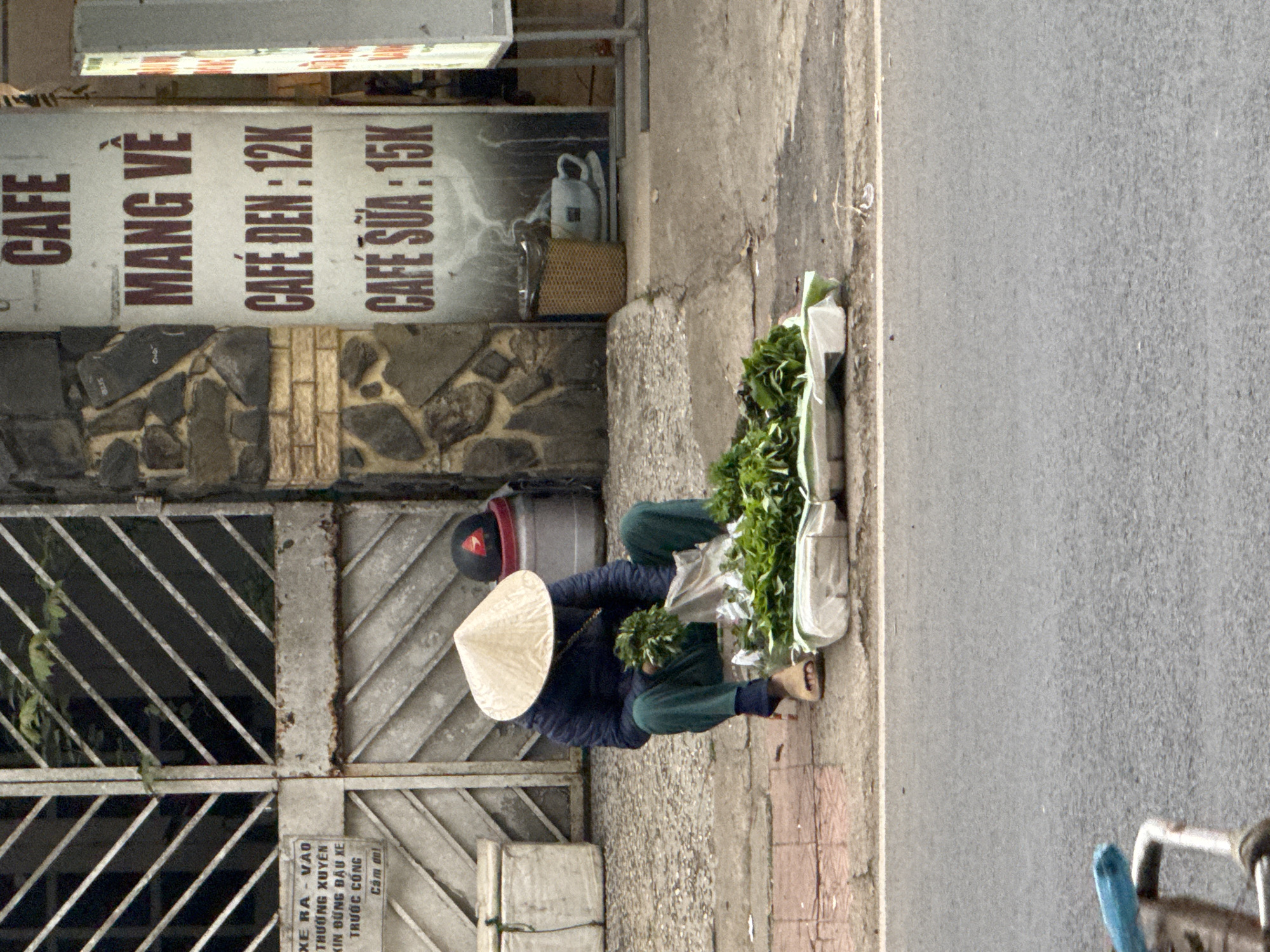 A person wearing a conical hat and dark blue jacket is sitting on the ground next to a roadside. They are holding a bunch of green leafy vegetables and are surrounded by more vegetables packaged in white plastic. To the right of the person, a sign advertises "CAFE MANG VE" (Takeaway Coffee) with prices for "CAFE DEN : 12K" (Black Coffee) and "CAFE SUA : 15K" (Milk Coffee). Behind the person is a metal gate with a sign that reads "XE RA - VAO THUONG XUYÊN XIN DUNG DAU XE TRUOC CONG CAM ON" (Vehicles Entering - Exiting Frequently, Please Do Not Park in Front of the Gate, Thank You). The scene appears to be on a street in Lâm Viên - Đà Lạt, Vietnam.