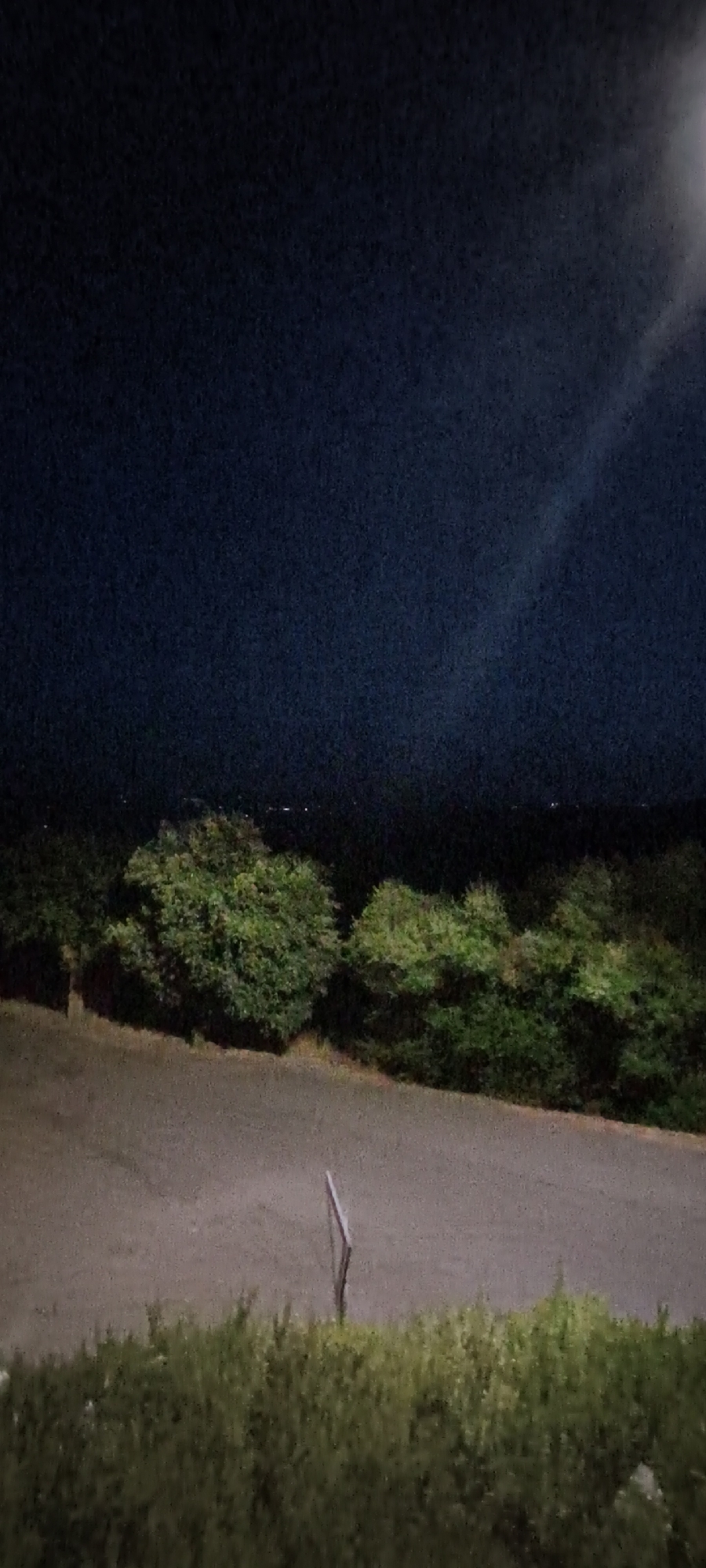 A night-time, vertical, outdoor, low-angle shot captures a rural landscape near Campagnatico, Italy. The scene is dominated by a dark, starry sky with a faint diagonal beam of light originating from the upper right corner. Below the sky, a dense line of dark green trees stretches across the mid-ground, with some appearing to be bushes or shrubs. A paved road runs horizontally across the lower portion of the image, its surface illuminated by the ambient light. In the foreground, a row of green vegetation, possibly bushes, lines the bottom edge of the frame. A thin, vertical wooden stake protrudes from the road surface near the center, its purpose unclear. Distant lights are visible on the horizon, suggesting a settlement beyond the immediate rural area. The overall impression is one of a tranquil, undeveloped natural setting under a night sky.