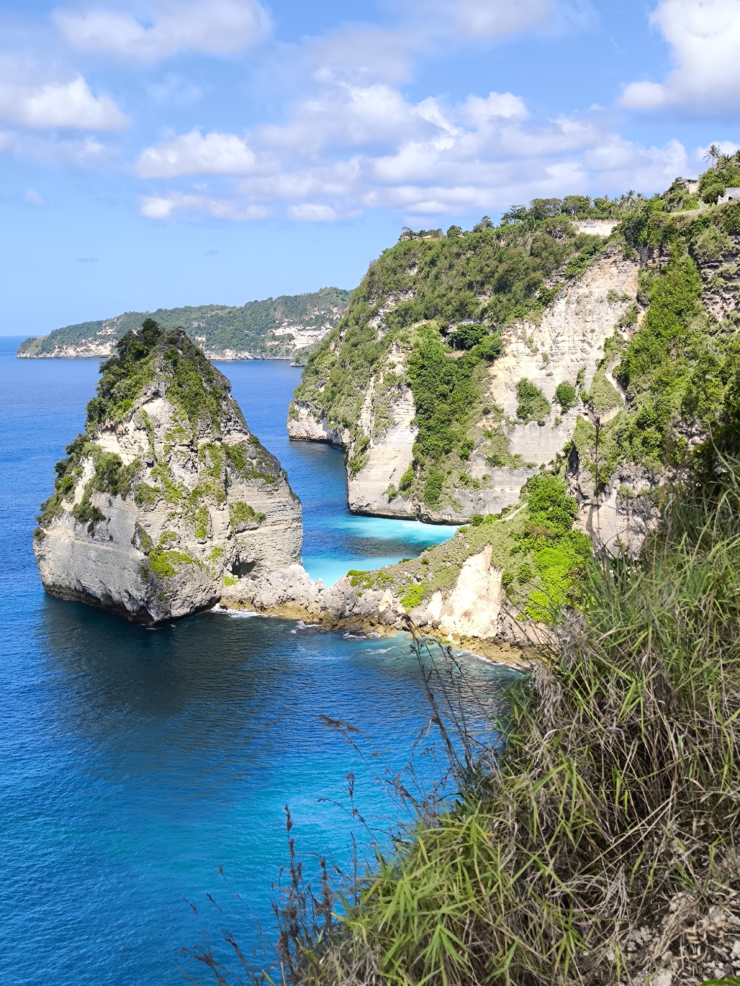 The image captures a coastal landscape in Nusa Penida, Indonesia, featuring a large, rocky sea stack rising from vibrant turquoise waters. The stack is layered with grey and green vegetation. Behind it, the coastline is comprised of steep, verdant cliffs, which display exposed rock faces. The water is clear and reflects the sky. Tall grasses are located in the lower-right corner of the scene, which are likely growing on the edge of a cliff. The sky is blue with scattered white clouds.