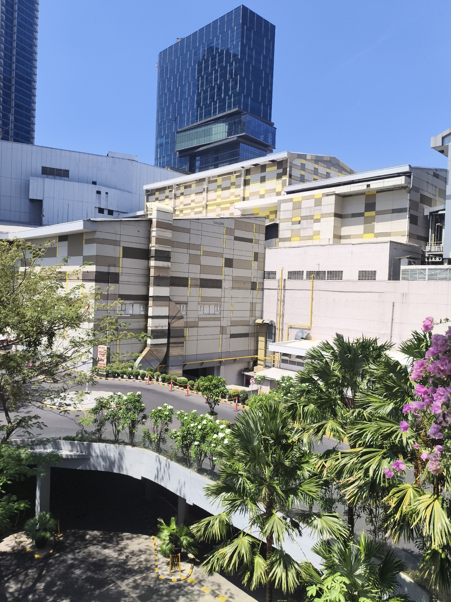 The image shows a modern architectural complex against a clear blue sky, likely in Surabaya, Indonesia. In the background, a tall, dark glass skyscraper rises, with a lighter, multi-story building featuring yellow and grey geometric patterns in front of it. To the right, a lighter colored building with rows of square windows is visible. In the foreground, a large, curved concrete structure, possibly an entrance to an underground parking garage, is prominent. Lush green trees and palm trees with vibrant pink flowers adorn the scene, with a paved road and landscaping visible between the structures and the garage entrance. The overall impression is of a contemporary urban environment with integrated green spaces.