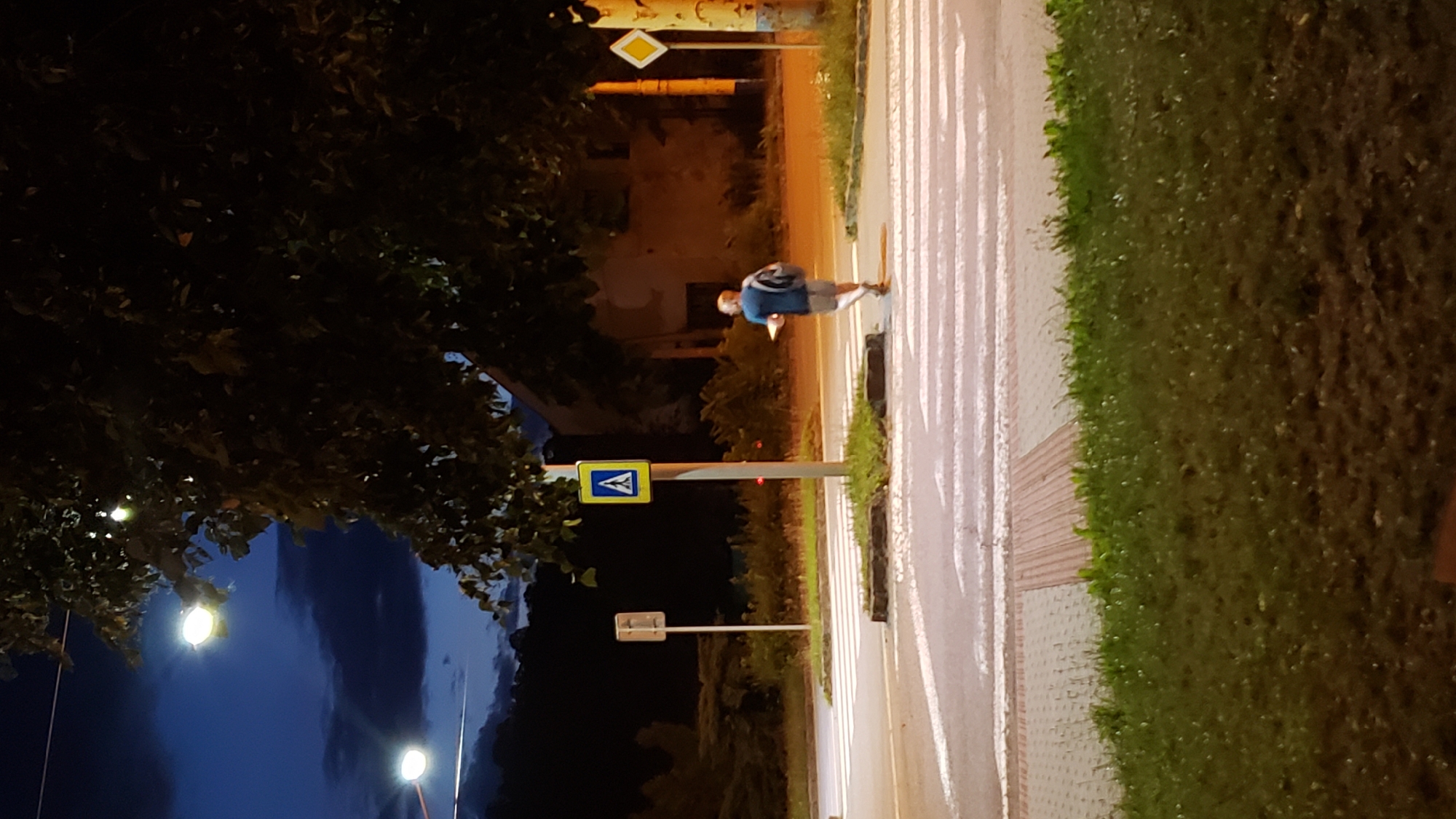 The image depicts a pedestrian crossing at dusk in Prešov, Slovakia. A lone individual, seen from behind, is walking across the zebra crossing from right to left. The person is wearing a blue shirt, grey shorts, and a backpack, and is holding a flat object in their right hand.
The scene is illuminated by streetlights, one of which is visible in the upper left quadrant of the image, casting a warm glow. The sky is a deep blue with some clouds, indicating the transition from day to night. A large tree with dark foliage partially obscures the upper portion of the image.
Traffic signs are present: a pedestrian crossing sign with a blue background and a white pedestrian symbol is mounted on a pole near the center of the frame, and a yellow diamond-shaped sign is visible on a pole to the right. In the background, there is a building with illuminated windows, suggesting it is inhabited or in use. The ground is paved with asphalt and a tactile paving system at the edge of the sidewalk. Grass and vegetation are visible in the foreground.