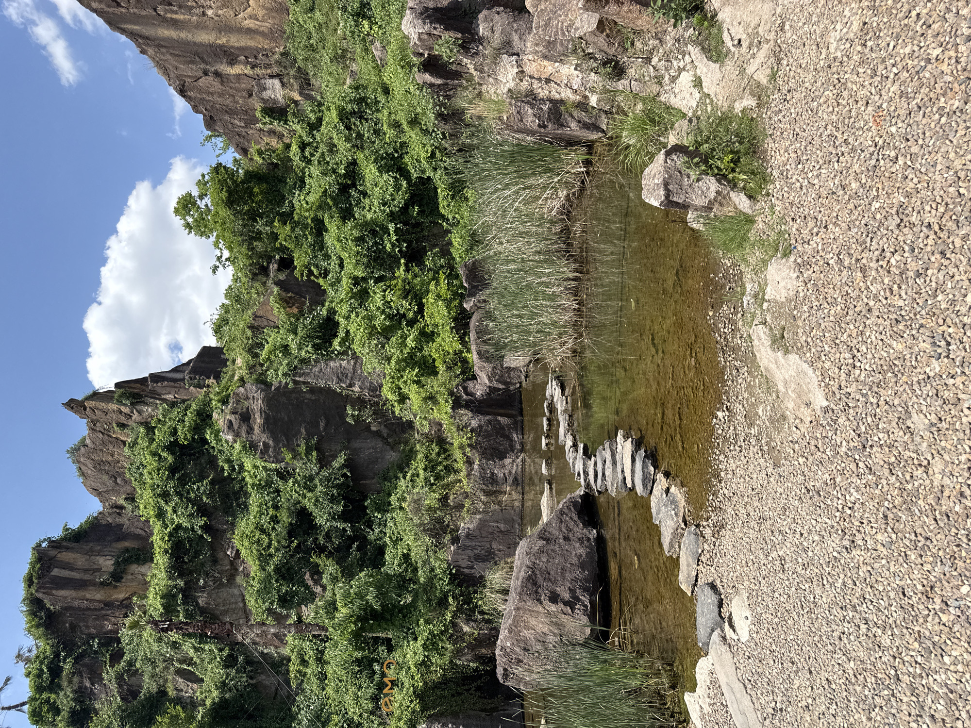 The image depicts a water feature in Keqiao District, China, likely a man-made stream or pond. A line of stepping stones crosses the water. The banks consist of rocks and gravel, with vegetation growing on and around the rocks. A steep rock face is visible, covered with climbing plants and trees. A patch of blue sky with white clouds is visible above the rock face.