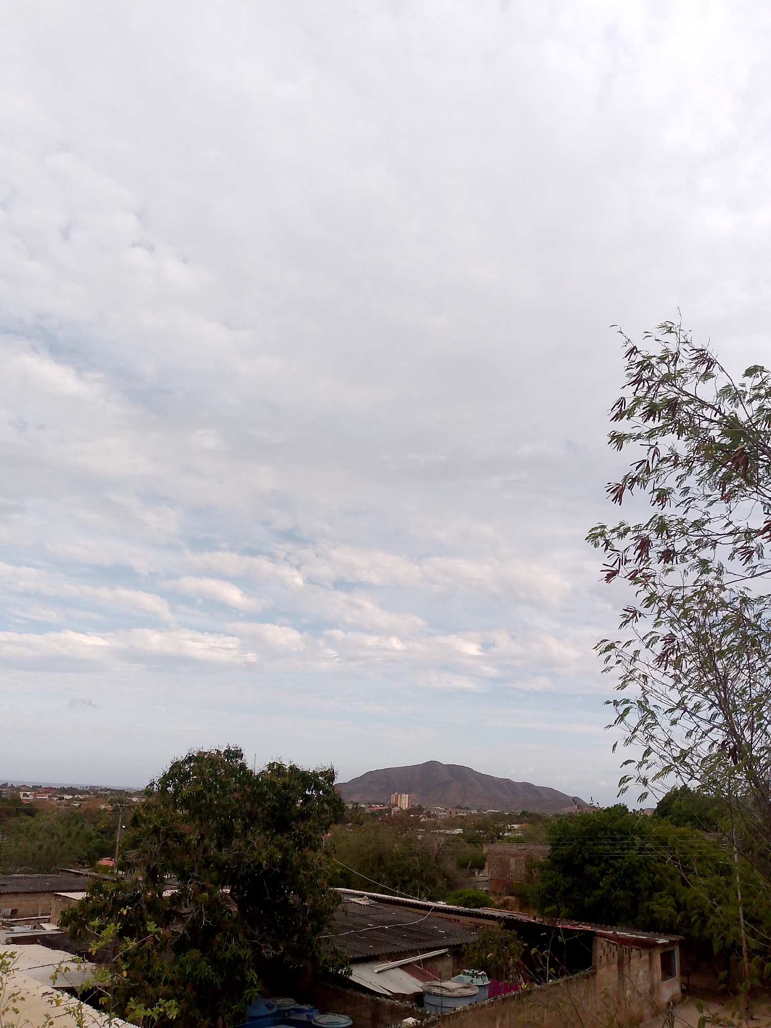 The image shows a view of Juan Griego, Venezuela. In the foreground are rooftops of buildings. Behind the buildings is a stretch of vegetation, including trees. Further back is a mountain range with some buildings visible at the base. The sky is overcast with streaky clouds. A tree is located on the right side of the image. The view is from an elevated position.