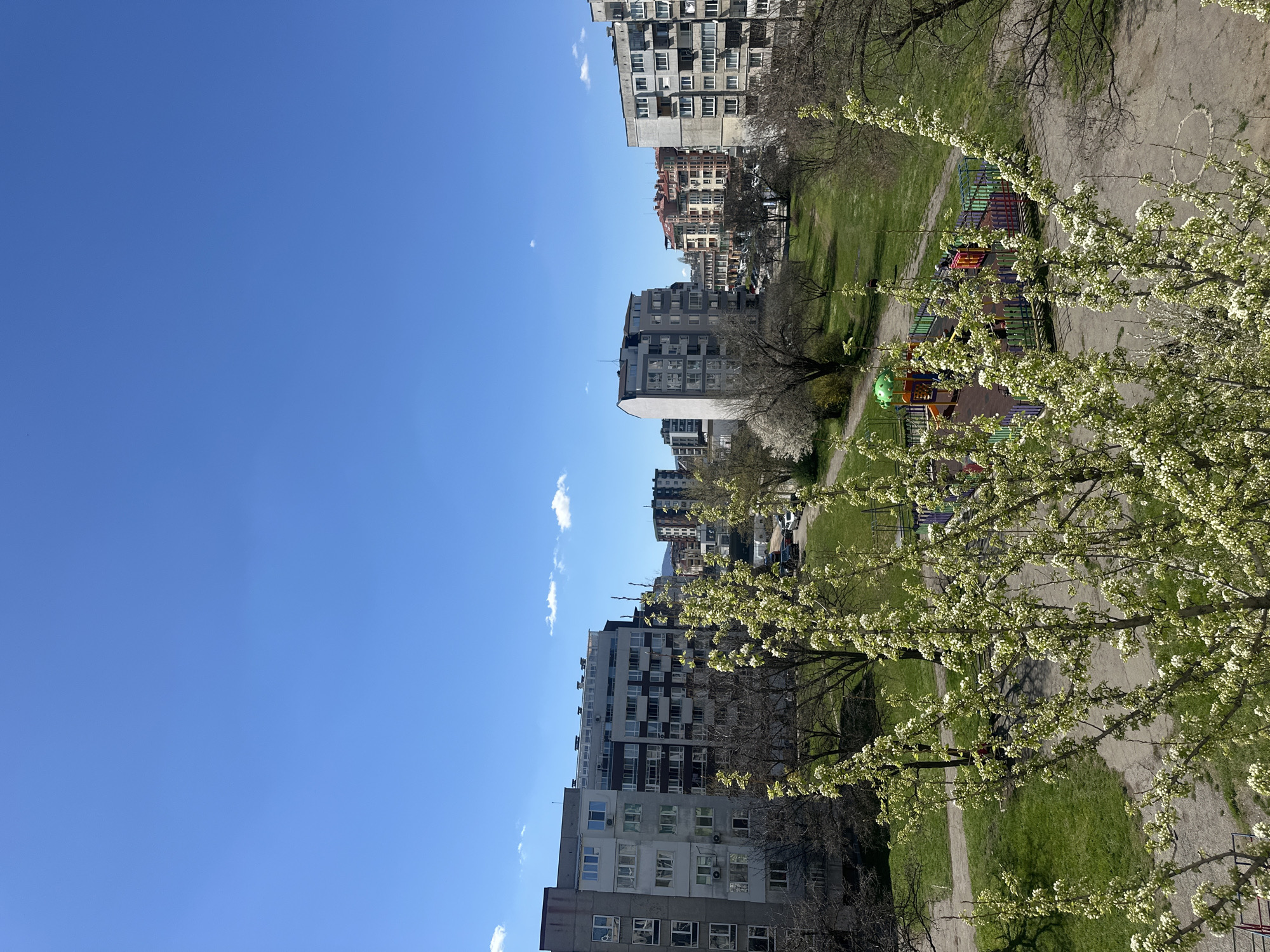 The image captures an urban view in Sofia, Bulgaria, likely from an elevated position such as a balcony or high-rise window. Multiple residential buildings with a mix of architectural styles are visible in the background. A park-like area is situated between the viewer's location and the buildings, featuring green grass, trees, and a playground with colorful equipment. The foreground is dominated by a tree with blooming white flowers, likely indicating it is springtime. The sky is clear and blue. There are no people visible.