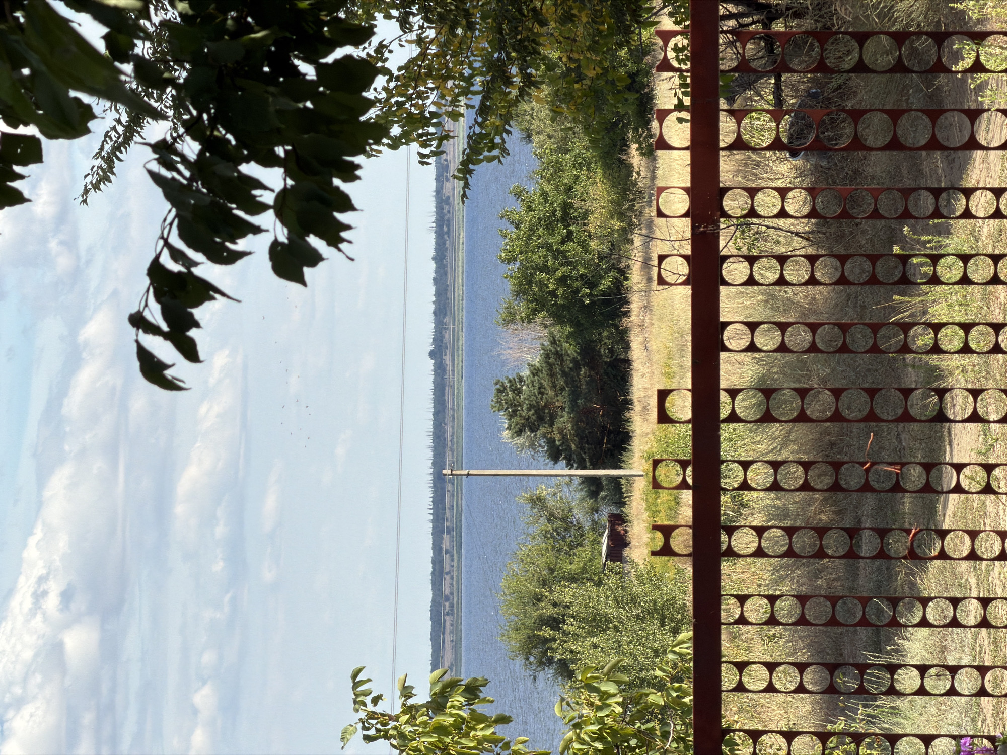 The image captures a pastoral scene with a focus on a body of water, likely the Volga River, as seen from a vantage point in Kamyshin, Russia. In the foreground, a rusty, red metal fence with circular cutouts runs horizontally across the frame. Beyond the fence, dry, golden grass dominates the landscape, dotted with scattered green bushes and trees. A single concrete utility pole stands prominently in the middle ground, with a small, weathered, box-like structure visible behind a cluster of trees to its left. The middle distance is characterized by the expansive, calm blue water of the river, with a distant, hazy treeline forming the horizon under a sky filled with scattered white clouds. The upper right portion of the image is framed by dark green leaves of a tree. The scene appears to be illuminated by natural daylight.