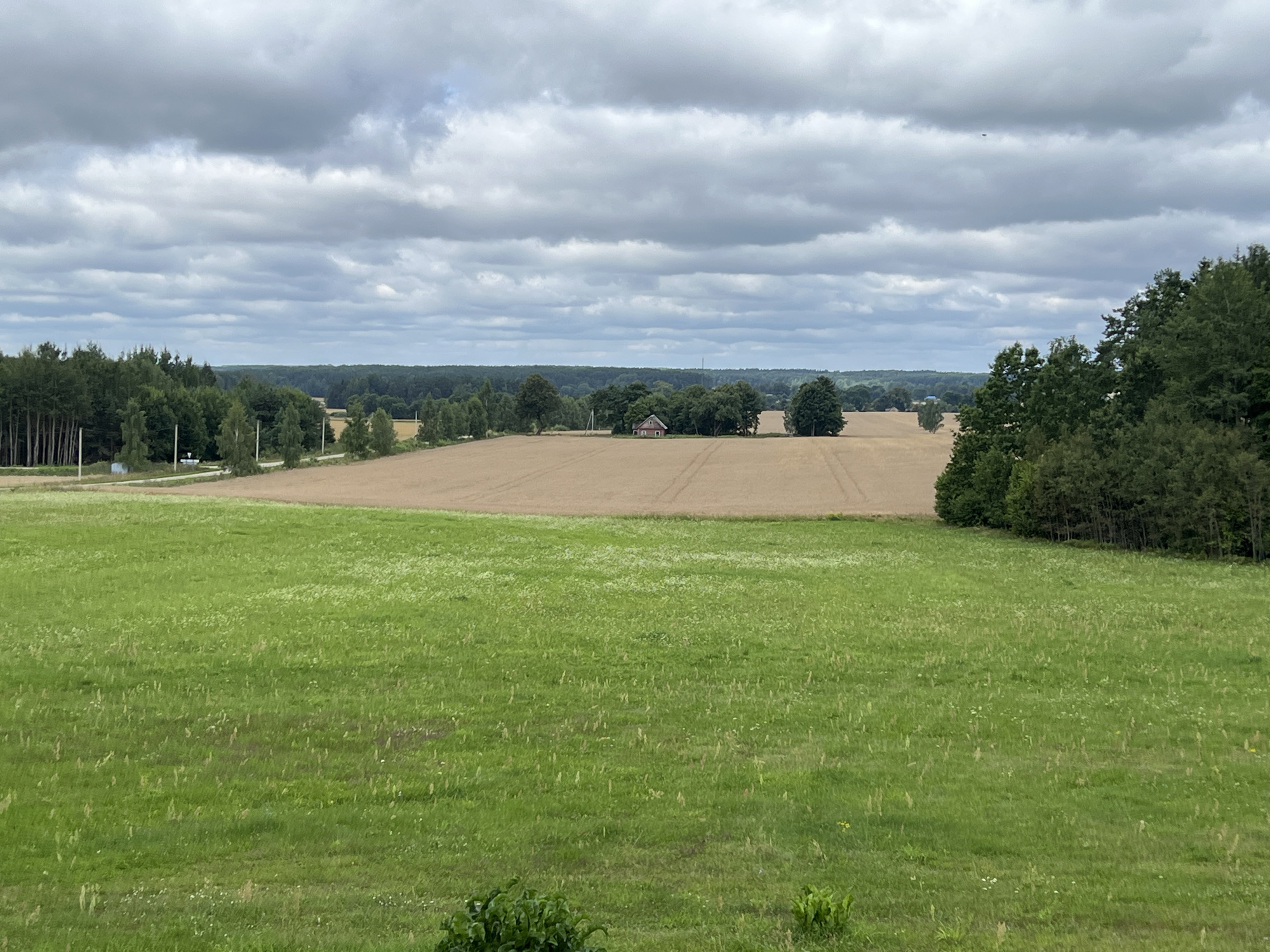 The image depicts a rural landscape in Norviliškės, Lithuania, under a cloudy sky. In the foreground, a vast expanse of green grass, dotted with small white flowers, stretches towards the horizon. Behind this meadow, a field of dry, golden crops, possibly wheat or barley, is visible. A small, red-roofed building, resembling a house or a shed, is situated amidst a cluster of trees in the middle ground, near the edge of the crop field. Further in the distance, dense green forests form a backdrop, creating a layered effect in the landscape. The overall scene is tranquil and showcases the natural beauty of the Lithuanian countryside.