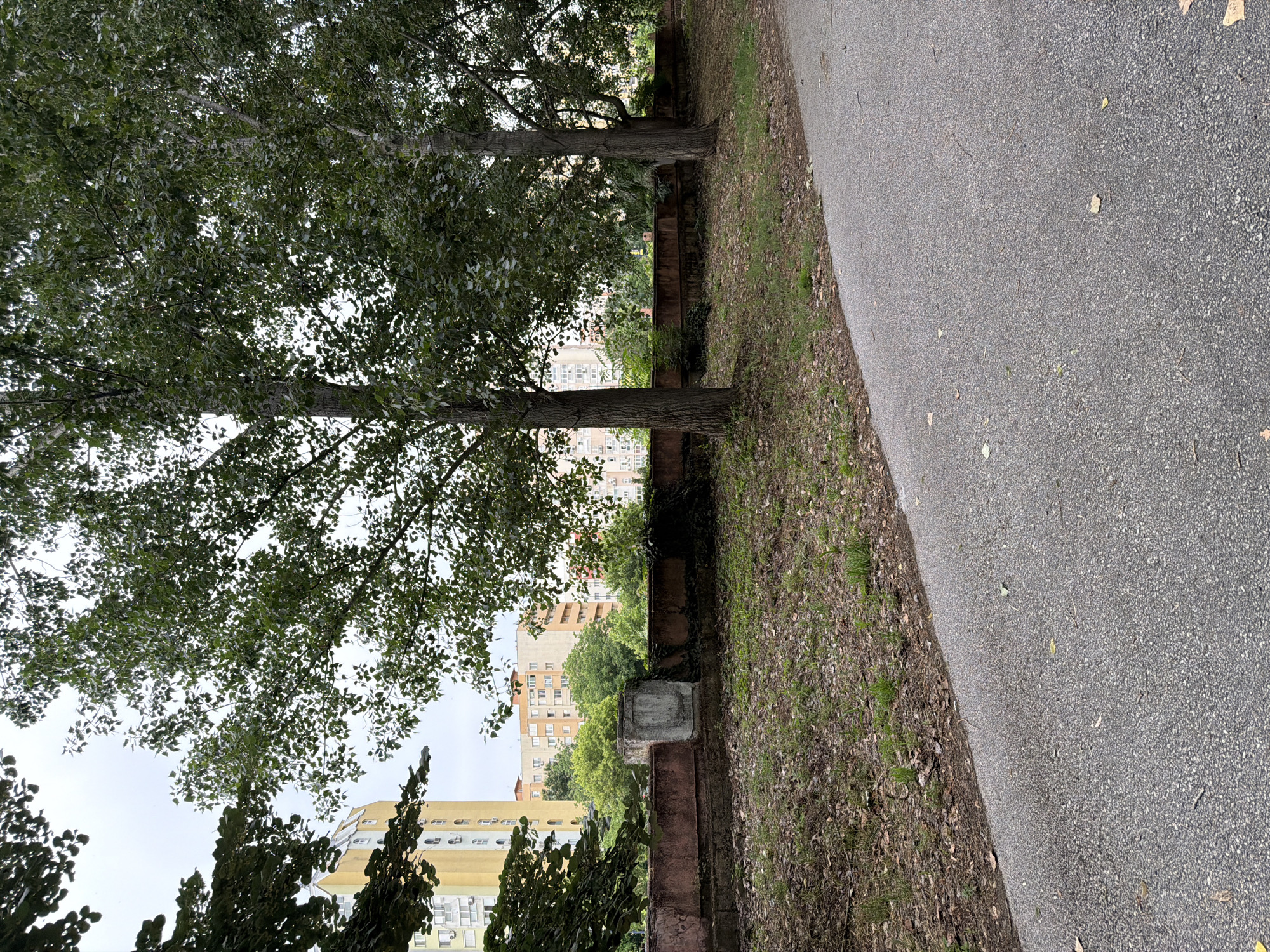 The image depicts an outdoor scene with a paved pathway in the foreground curving to the right. Beyond the pathway, there is a grassy area with scattered leaves and a low, weathered brick wall. Behind the wall, several tall trees with dense green foliage are visible, partially obscuring a row of multi-story apartment buildings in the background. The buildings appear to be in a residential area, with one building being a distinctive tall yellow structure with a pointed roof. The sky is overcast, suggesting a cloudy day. The scene is likely a public park or a walkway adjacent to residential buildings in the city of Pazardzhik, Bulgaria. No people are present in the image, and no specific actions or interactions are captured. The overall impression is a somewhat neglected urban green space with surrounding apartment blocks.