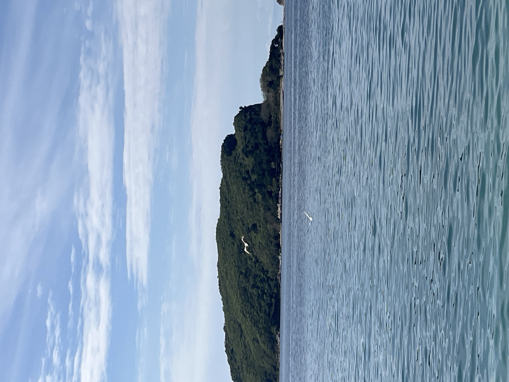 The image, oriented vertically, presents a serene coastal landscape. On the left, a bright blue sky is adorned with several distinct, vertically-aligned white cloud formations, some appearing as wispy streaks. The central section of the frame is dominated by a dark green, heavily forested hill or mountain range, stretching from the bottom to the top and defining the shoreline. The dense foliage suggests a rich natural environment.
On the right side, a calm body of water, likely the sea or a bay, extends vertically, filling the remainder of the frame. The water surface is a soft blue-grey, characterized by numerous small, elongated ripples and gentle waves that reflect the ambient light, creating a textured pattern.
Two white birds are captured in flight within the scene. One larger bird, with wings spread, is positioned over the forested landmass. The second bird, smaller in appearance, is flying further to the right, over the water.
The scene depicts a tranquil daytime setting under clear skies, suggesting pleasant weather conditions. No text is visible in the image. The location context indicates this picturesque view is in Budva, Montenegro, reflecting its characteristic Adriatic coastline and natural beauty. The overall impression is one of peace and natural grandeur.