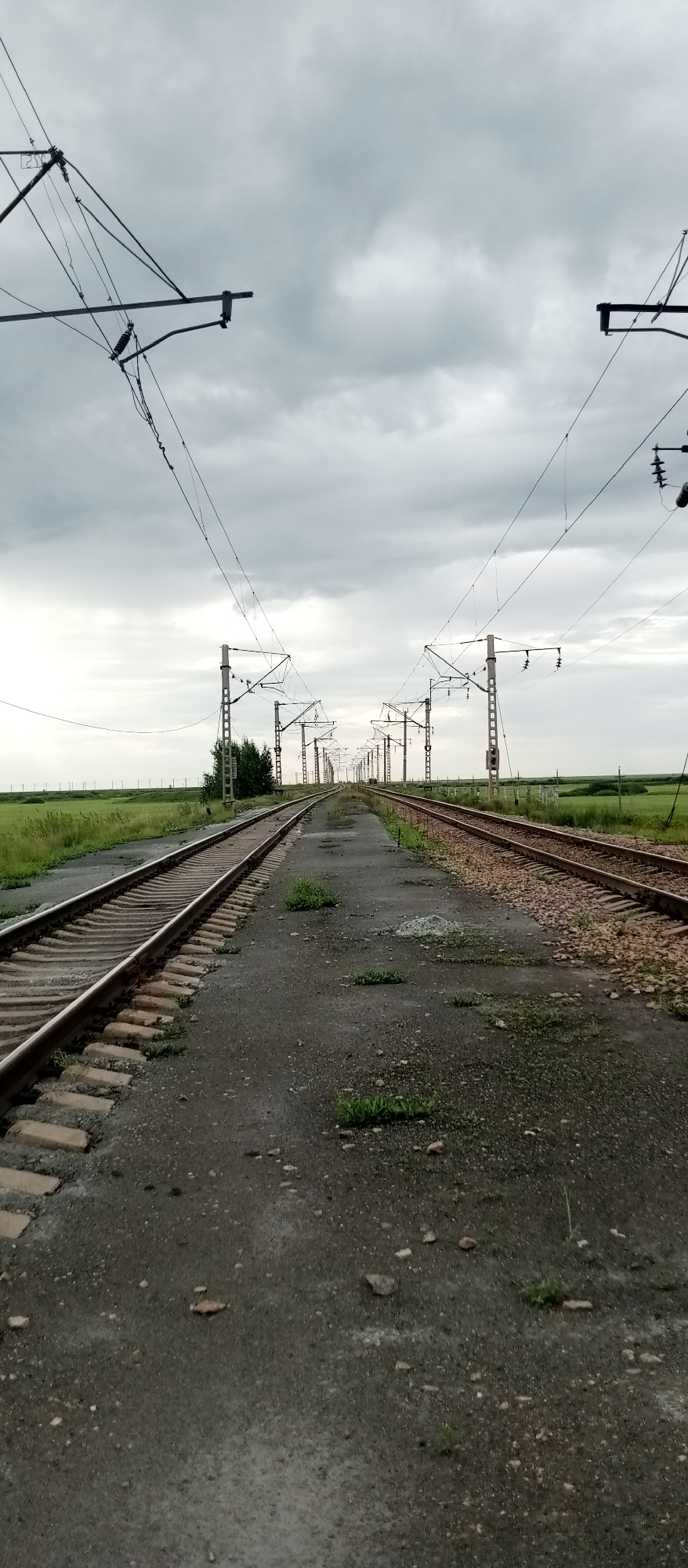 The image shows a dual-track railway line receding into the distance under a cloudy sky. On either side of the tracks are fields of green grass. Overhead, a complex network of power lines and their supporting poles stretch along the railway. The ground between the tracks and the grassy fields appears to be a mixture of dirt, gravel, and some patches of sparse vegetation. The overall scene suggests an outdoor, rural setting, likely a railway corridor. The specific location in the city of Marinovka, Kazakhstan is indicated.
