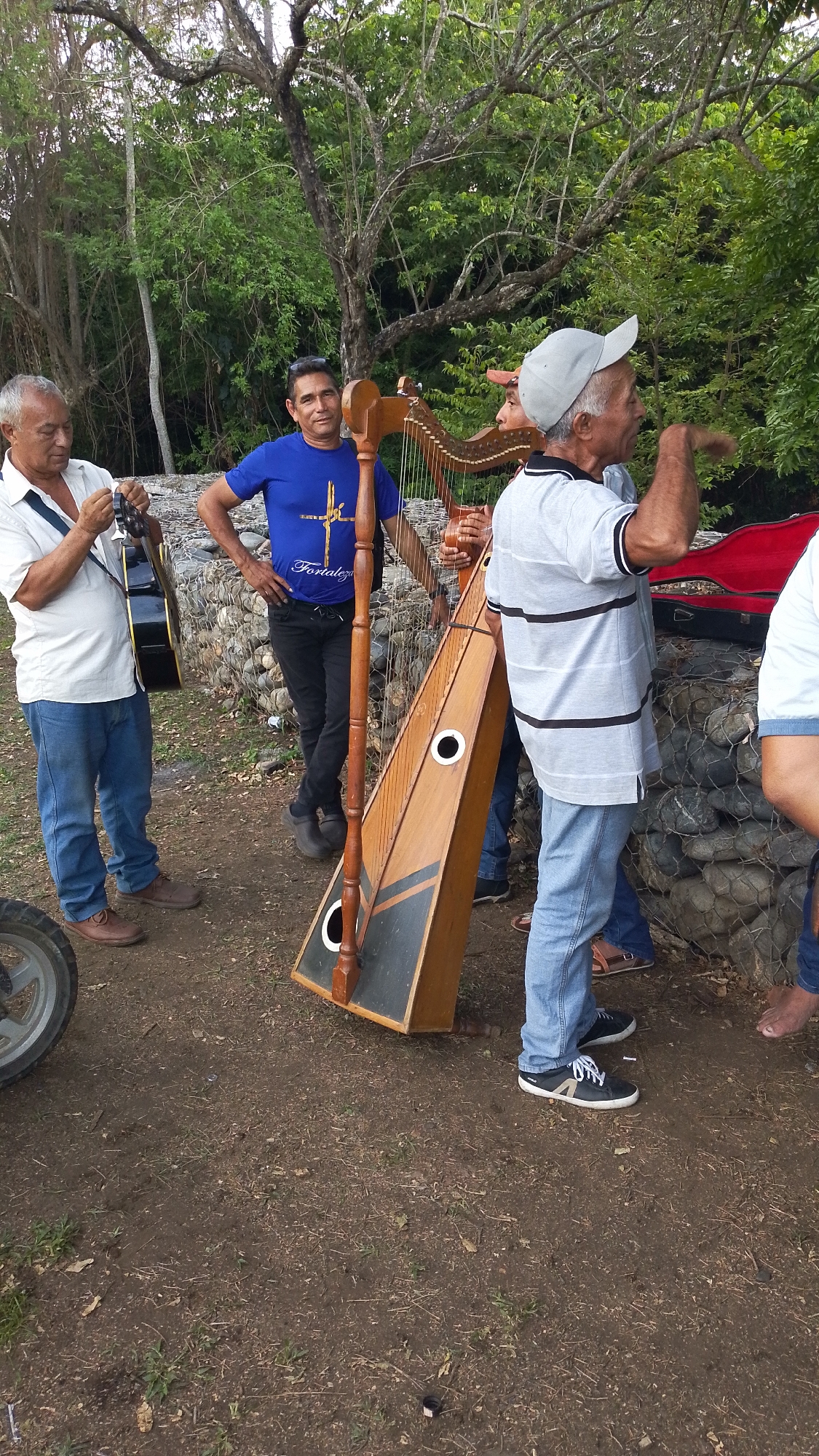 Four men are gathered outdoors in Tinaquillo, Venezuela, amidst lush green foliage and trees. The scene appears to be a casual social or musical event.
On the far left, a man with grey hair, wearing a white short-sleeved shirt and blue jeans, holds a black acoustic guitar, seemingly adjusting its strings. Next to him, a large, light brown wooden harp with black and white circular accents stands prominently, indicating musical activity. Behind the harp, a man in a vibrant blue t-shirt featuring the word "Fortaleza" and a distinctive graphic, stands with his hands on his hips, looking towards the viewer with a slight smile.
To the right of the harp, another man, wearing a light grey striped polo shirt and a light-colored baseball cap, gestures animatedly with his right hand as if speaking or telling a story. A fourth man is partially visible on the extreme right.
The background consists of dense green vegetation and mature trees, suggesting a natural or semi-rural setting. A low wall constructed from rocks contained within wire cages (gabion wall) stretches horizontally behind the men. The ground beneath them is dry, unpaved dirt. A motorcycle wheel is visible in the lower left corner of the frame. The lighting suggests it is daytime, with soft, natural light illuminating the scene. The atmosphere appears relaxed and engaging.