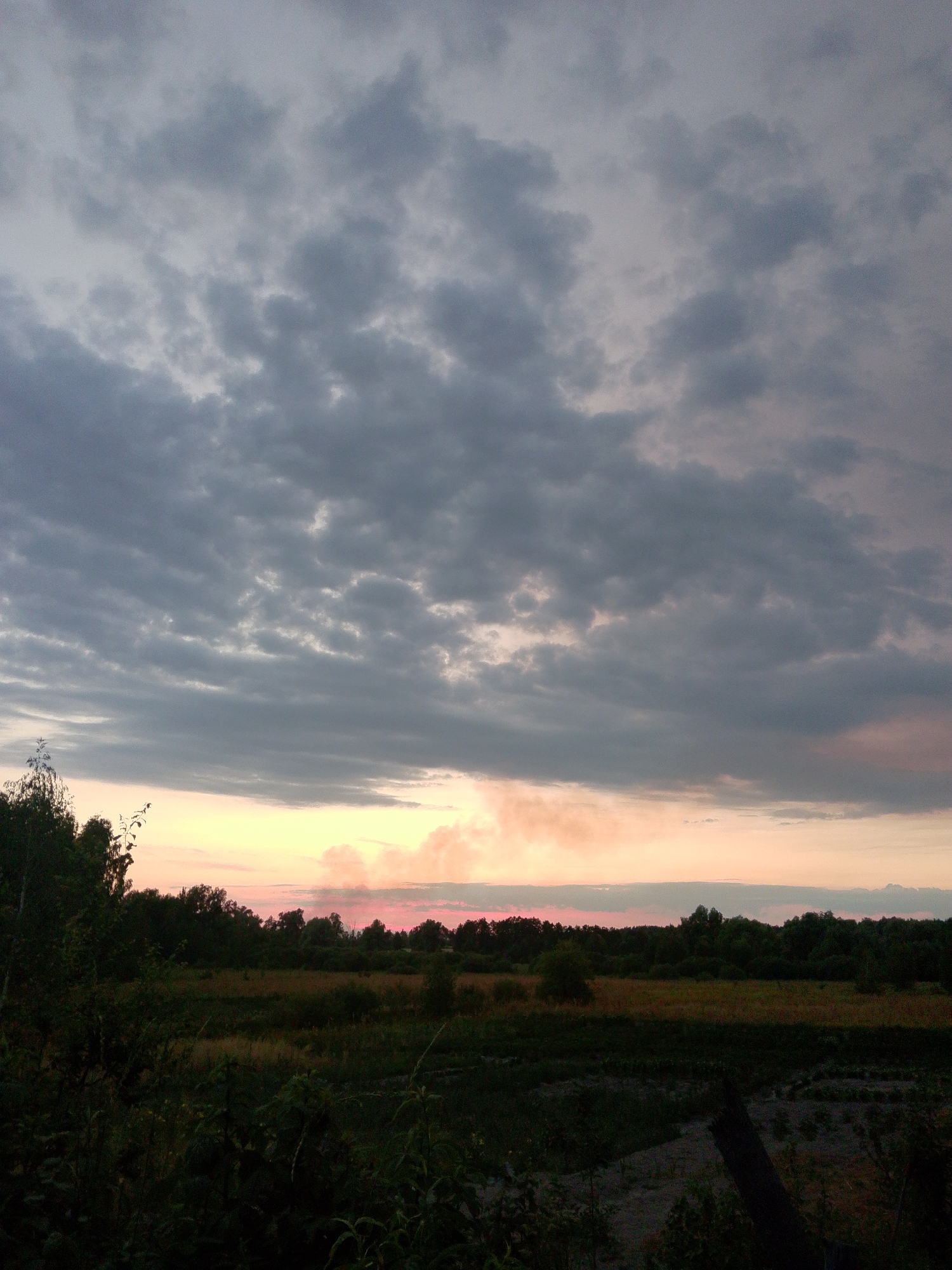 A wide-angle photograph captures a twilight scene over a rural landscape in Dytiatky, Ukraine. The sky is filled with dark, textured clouds that occupy the upper two-thirds of the frame, with hints of a soft pink and yellow glow from the setting sun near the horizon. Below the clouds, a thin band of lighter sky transitions into a silhouetted treeline and fields. The foreground consists of dark, dense vegetation, including bushes and tall grasses, with a fallen log visible in the lower right corner. The overall impression is one of a serene, natural environment at dusk.