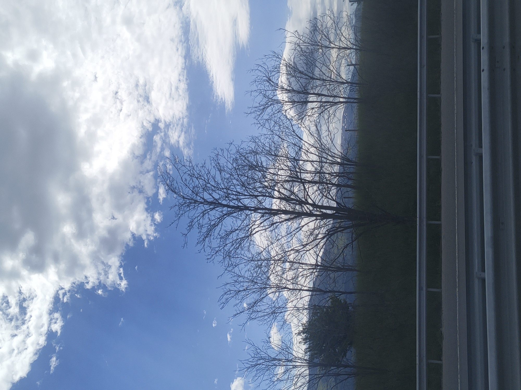 The image, taken outdoors, shows a scene in Kralev Dol, Bulgaria. It is daytime with a partly cloudy sky. The lower portion of the image shows leafless trees against the backdrop of a landscape consisting of green vegetation. Metal poles are visible to the side, suggesting a fence or structure. The horizon is blurred in the distance. No people are visible.