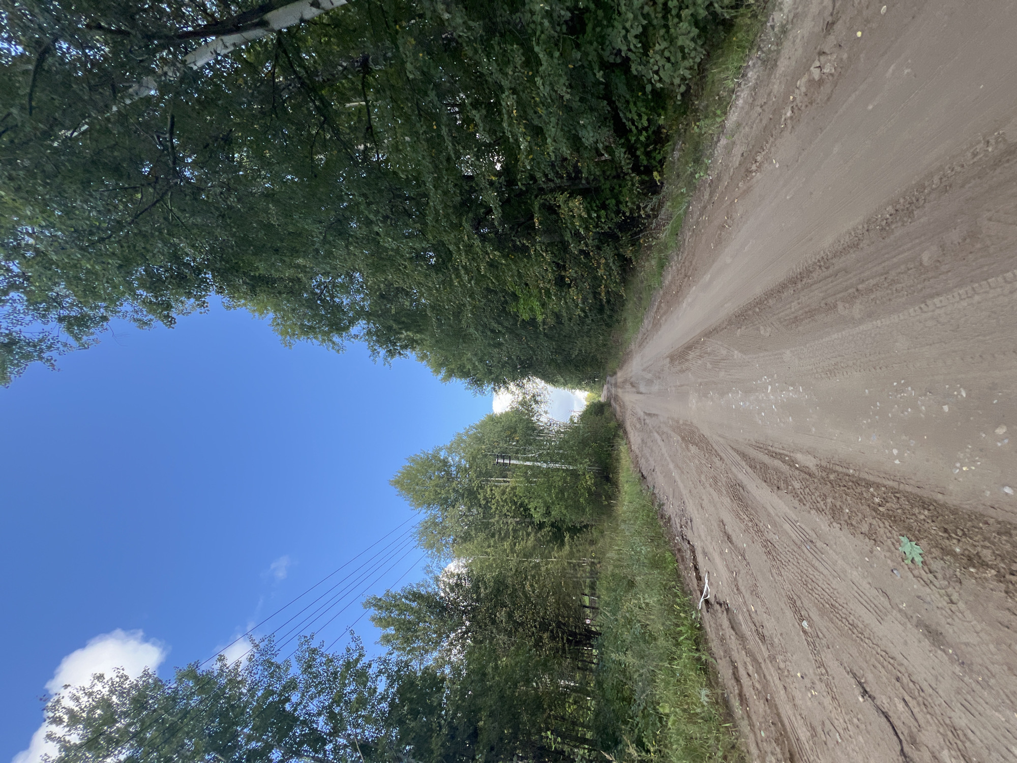 The image depicts a dirt road winding through a dense forest. The road is unpaved and shows tire tracks, indicating recent vehicular passage. Trees with green foliage line both sides of the road, with some appearing to be birch trees due to their white bark. The sky is bright blue with a few scattered white clouds. Overhead, power lines are visible stretching across the frame. The setting appears to be rural, likely in a forested area. The location is identified as Noviy, Russia. There are no people or animals visible in the image, and no specific actions or interactions are depicted. The environment is natural and undeveloped.