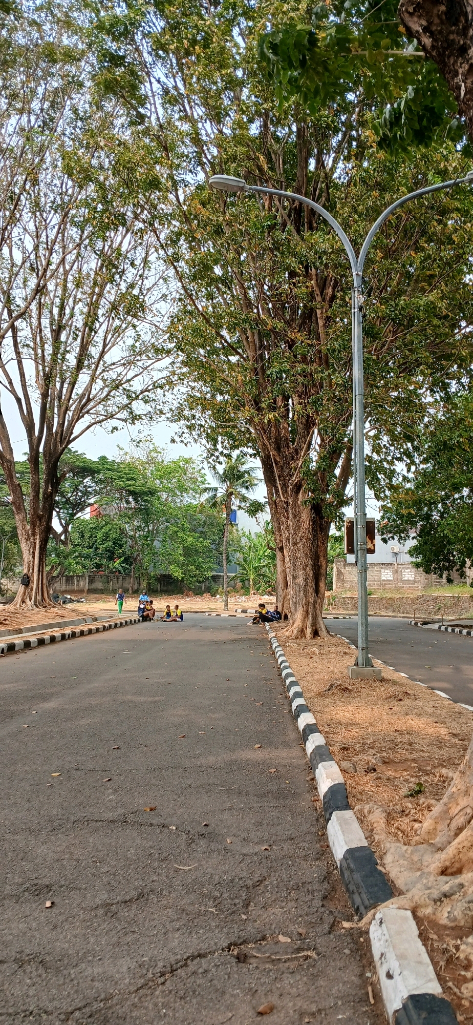 The image shows a street scene with several people sitting and standing, likely in a park or residential area. There are large trees lining the street, and a streetlamp is visible. The ground is paved with asphalt, and there are curbs with black and white markings. The area appears to be an outdoor public space. It is not possible to determine the exact location in Cirebon, Indonesia, from the image alone.