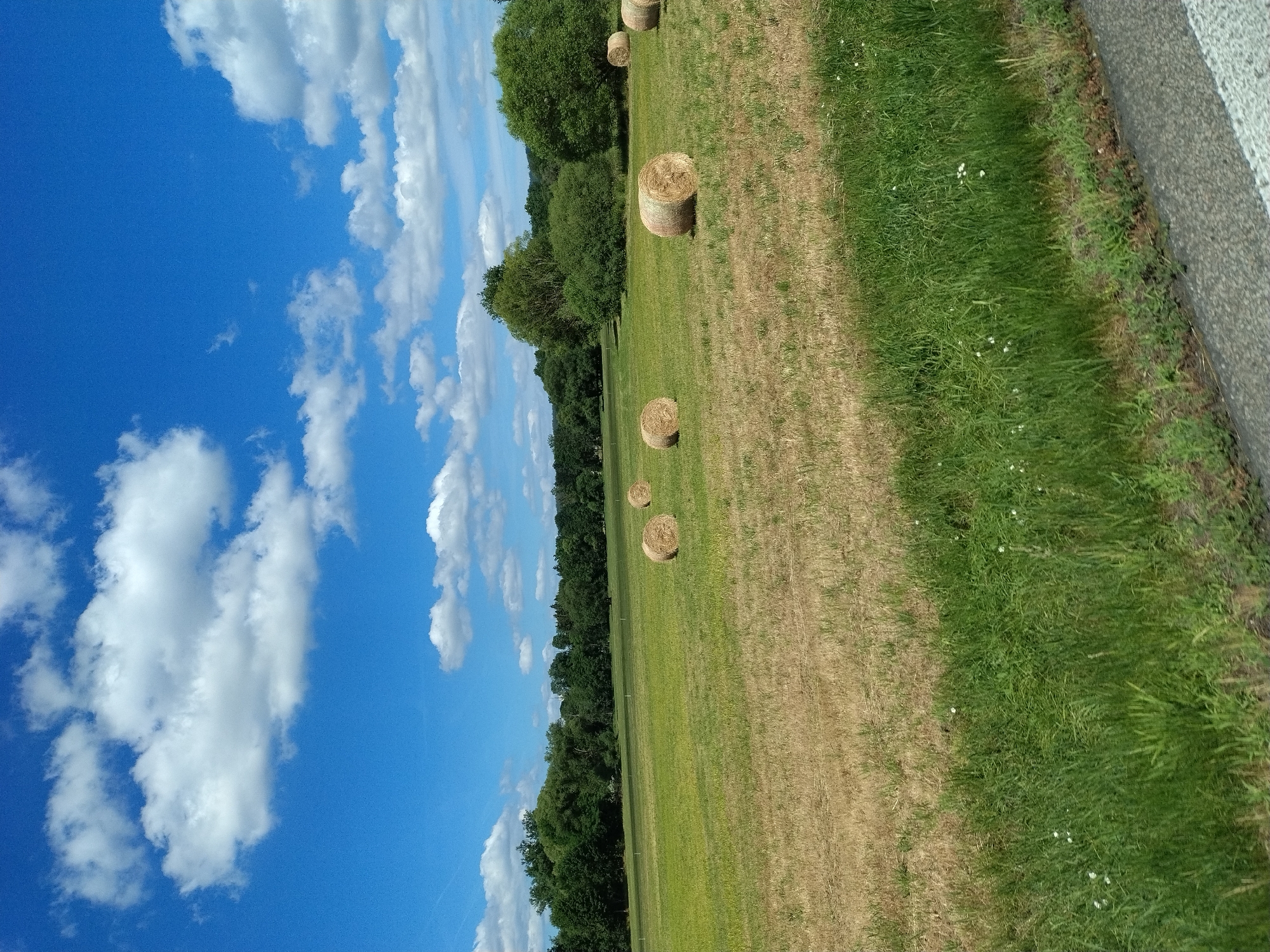 The image depicts a rural landscape with a bright blue sky dotted with white, fluffy clouds. In the foreground, a grassy verge runs along the bottom of the frame, transitioning to a field of dry, golden grass. Several large, round hay bales are scattered across the field. In the mid-ground, a line of dense, green trees forms a natural barrier, with a few smaller trees and bushes interspersed within the field. The background reveals a rolling, tree-covered landscape under the expansive sky. The scene is characteristic of the countryside around Volyně, Czechia, likely captured during the summer months. There are no people or animals visible in the image.