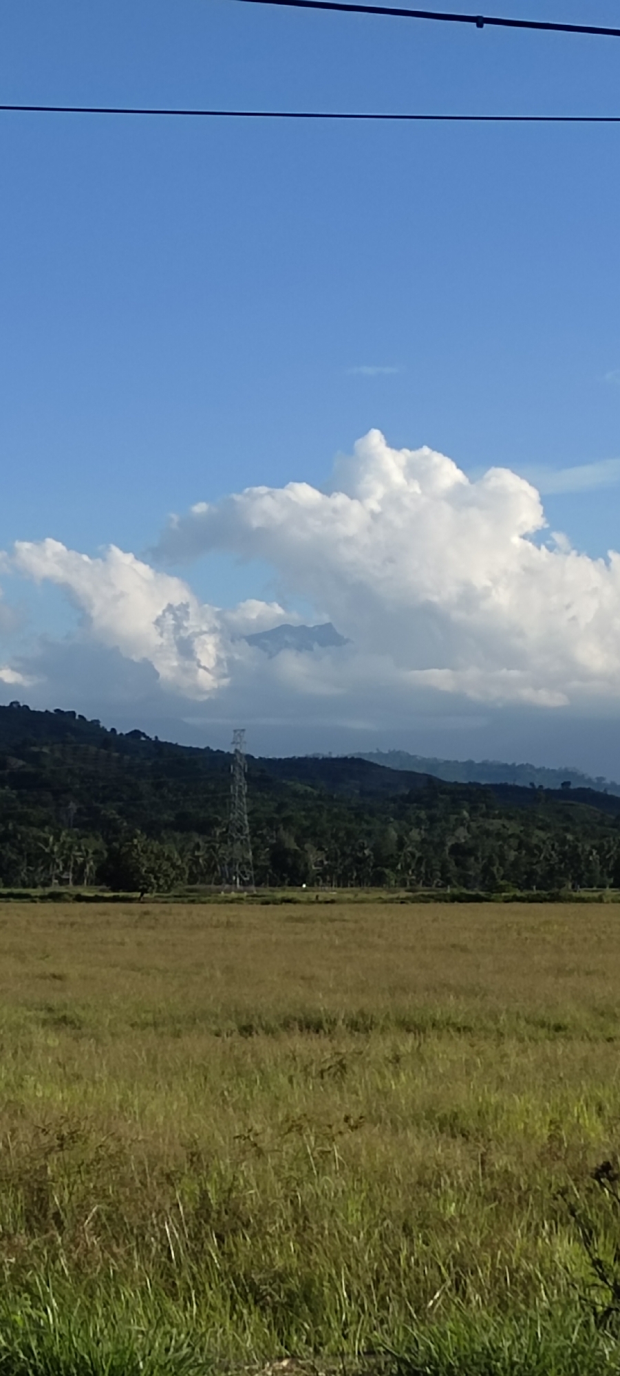 The image captures a rural landscape near Meunasahpulo, Indonesia. A field of tall, dry grass dominates the foreground. Beyond the field lies a line of dense trees and shrubbery, behind which low hills rise, capped by a partly cloudy sky. An electrical transmission tower stands amidst the trees. A glimpse of distant mountain peaks is visible through a gap in the clouds. Two power lines are visible in the upper portion of the frame.