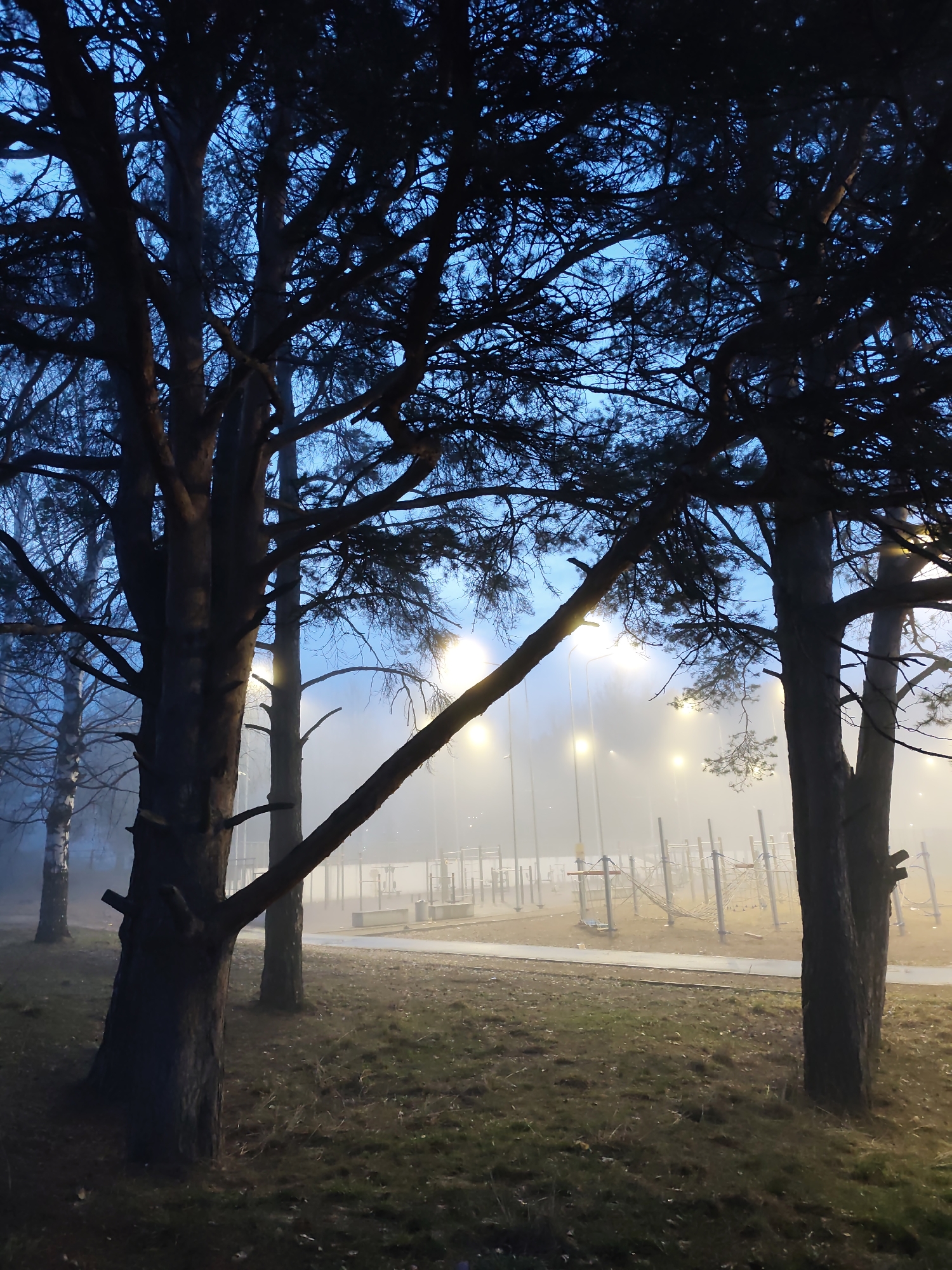 The image shows an outdoor park scene in Chaikovsky, Russia at dusk or dawn, heavily shrouded in fog. In the foreground are several large trees with bare branches silhouetted against the fading light, creating a dark, wintry appearance. The ground is covered in sparse grass, indicating either late autumn or early spring conditions.
Through the fog in the middle ground, several streetlights are visible, emitting a warm glow that illuminates the fog. Beyond the trees and streetlights, an outdoor exercise park area with various pieces of equipment such as pull-up bars and ropes is present. The area is deserted, with no people or animals visible. The general atmosphere is somber and still, dominated by the heavy fog and the dim light.