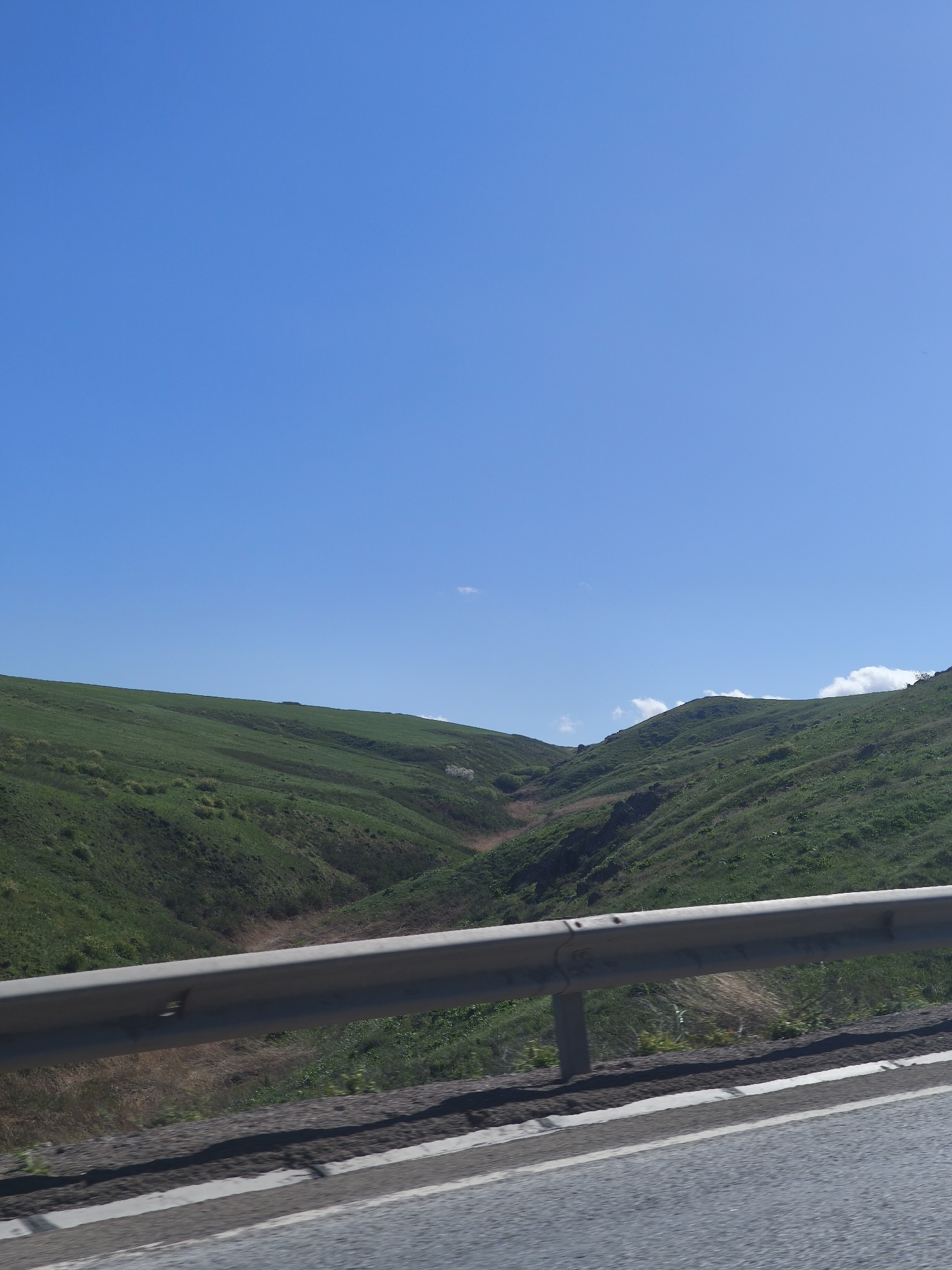 This vertical shot captures a serene, expansive natural landscape, likely viewed from a moving vehicle. The scene is dominated by vast, rolling green hills under a bright, clear blue sky.
In the foreground, a gray metal guardrail stretches horizontally across the lower portion of the frame, partially obscuring the immediate slope of the hills. Below the guardrail, the asphalt road surface is visible on the right, featuring white painted lines indicating a shoulder or lane boundary. The perspective suggests the photograph was taken from a vehicle traveling along this road.
The midground and background are filled with gently sloping hills, richly covered in vibrant green vegetation, characteristic of grasslands or low-lying mountains. A prominent valley or gully carves through the center of the hills, where some drier, reddish-brown earth and sparser vegetation are visible. The contours of the hills suggest a dynamic yet gentle topography. On the right side of the frame, some distant, wispy white clouds are visible near the crest of the hills, adding a touch of softness to the otherwise clear sky.
The sky itself is a striking, deep blue, almost entirely devoid of clouds, indicating fair weather. The lighting is bright and even, suggesting it is daytime, likely mid-morning or early afternoon. There are no people or discernible activities taking place, emphasizing the natural tranquility of the environment. No visible text is present in the image.
Given the location context, this landscape is characteristic of the region around Kurday, Kazakhstan, known for its extensive steppes and mountainous areas. The overall impression is one of vastness, natural beauty, and peaceful travel through an open, unspoiled environment.