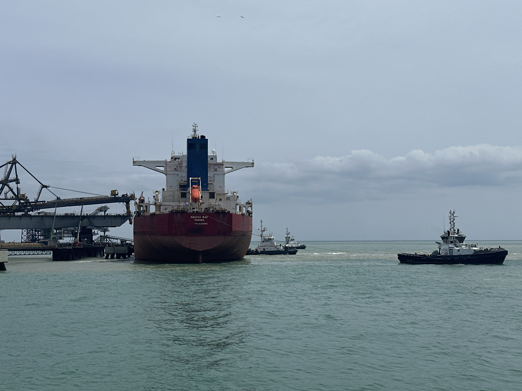 The image captures an industrial port scene in Uribia, Colombia, featuring a large cargo ship being maneuvered by tugboats. The primary subject is a bulk carrier, identified by the name "NAVIOS RAY" and registry "PANAMA" (IMO 9406692) visible on its red stern, which faces the viewer. The ship features a white superstructure with a prominent blue smokestack and an orange emergency life raft canister mounted on the stern.
To the ship's port side (left from the viewer's perspective), a substantial pier infrastructure is visible, characterized by multiple support pillars and extensive loading equipment, including conveyor belts and what appear to be gantry cranes extending over the water towards the ship. The ship is positioned adjacent to this loading facility.
Three tugboats are actively involved in maneuvering the cargo ship. A large, black-hulled tugboat, partially identified as "MEGARA," is situated to the far right of the scene, connected to the cargo ship by a visible towline. This tugboat is generating a significant wake and stirring up a broad expanse of brownish, sediment-laden water. Two additional smaller tugboats, with white superstructures, are positioned closer to the stern of the "NAVIOS RAY," also connected by lines and assisting in the maneuver.
The water in the harbor is a greenish-blue, exhibiting moderate choppiness, particularly around the active tugboats. The sky is overcast with a uniform light grey cloud cover. Two small, dark silhouettes of birds are discernible flying in the upper central portion of the sky.