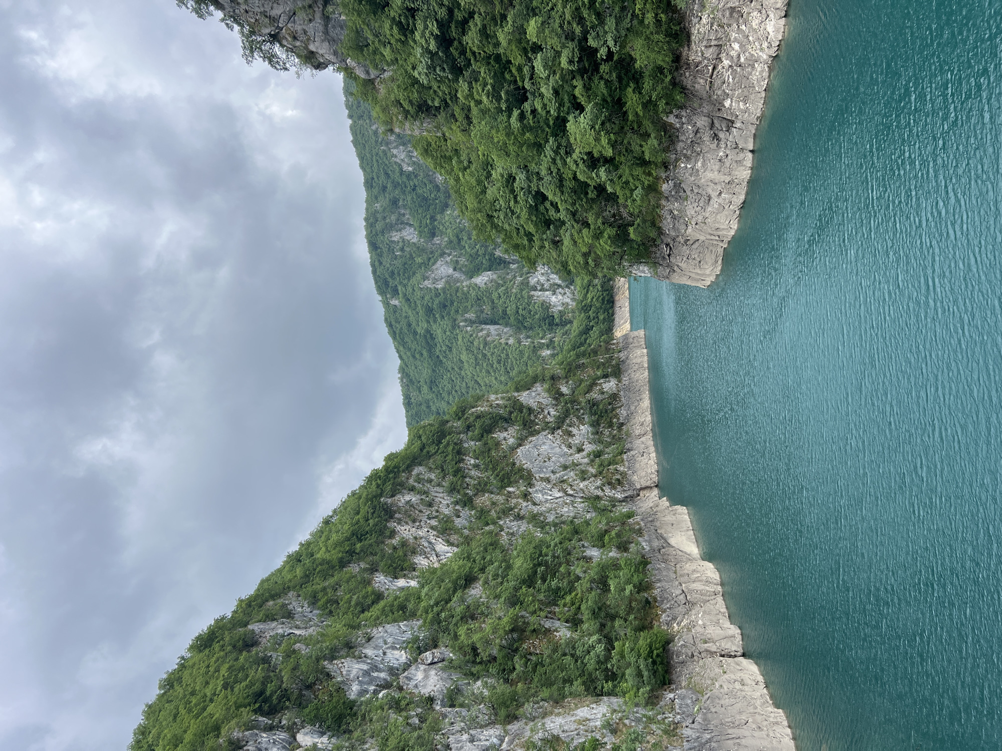 The image presents a dramatic natural landscape in Bezuje, Montenegro, featuring a vibrant turquoise body of water carving its way through a deep, mountainous gorge under an overcast sky.
The central and most striking element is the deep teal or turquoise water, which appears calm with subtle surface ripples, reflecting the diffused light. This expansive body of water occupies the lower and central-right portions of the frame, receding into the distance. A faint, distant horizontal line across the water in the background subtly suggests a man-made structure, possibly a dam or a bridge.
Steep, rugged mountain slopes frame both sides of the waterway. The immediate banks are composed of grey and white rocky formations. Both mountainsides are heavily covered in lush, dense green trees and vegetation, clinging to the sheer, rocky terrain. The mountain on the left side of the gorge rises prominently, filling a significant part of the frame with its forested slopes.
The upper portion of the image is dominated by a soft, uniformly grey overcast sky, indicating diffused daylight without any direct sunlight.
There are no people, animals, or other distinct man-made objects visible within the immediate scene. The overall impression is one of untamed natural beauty, grandeur, and tranquility, characteristic of a remote mountainous river or lake environment. No visible text is present in the image.