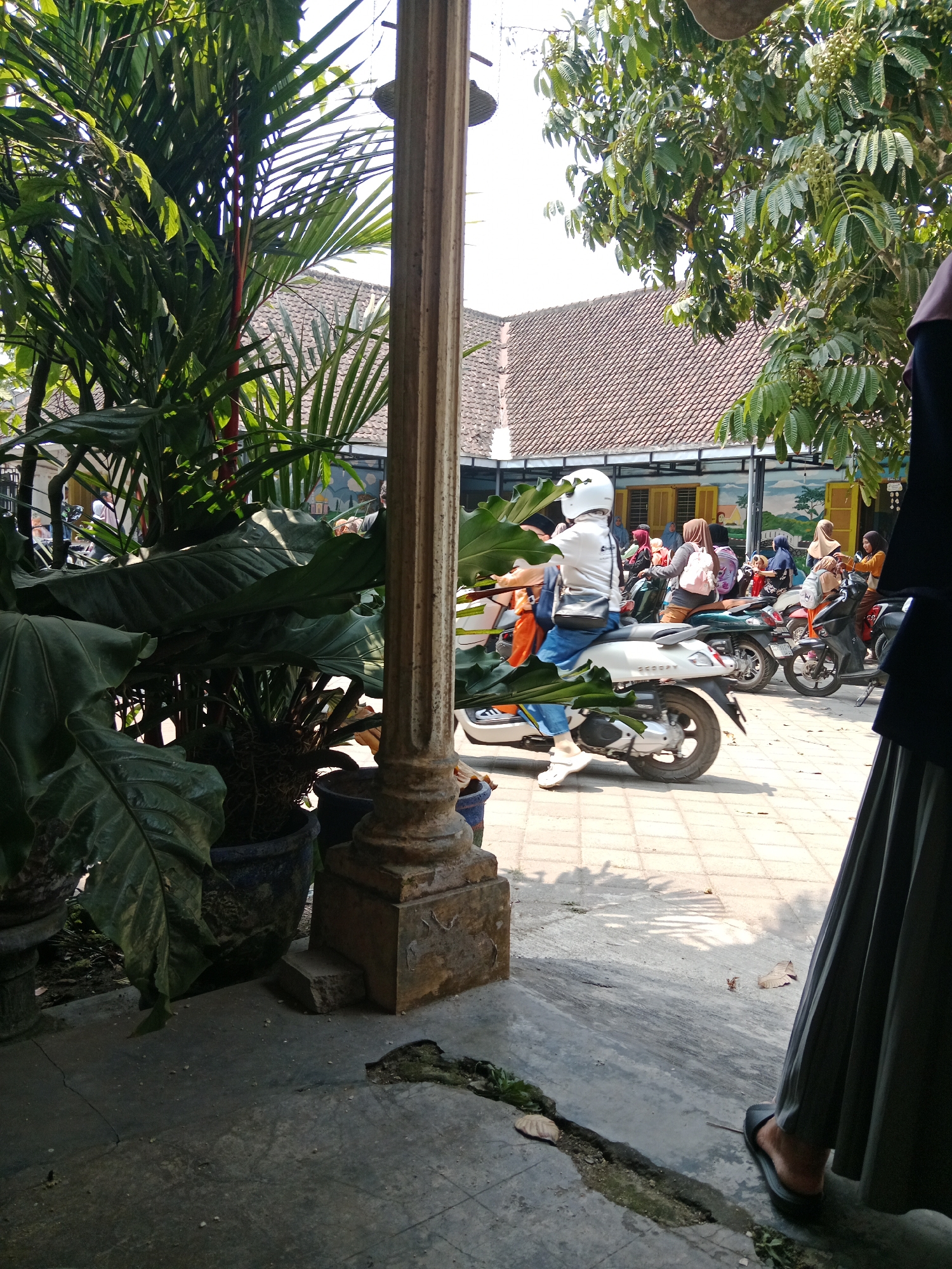 The image depicts an outdoor scene, possibly a courtyard or parking area, with a focus on a person on a white scooter. The person is wearing a white helmet, a white t-shirt with writing on the back, blue jeans, and white shoes. They have a dark bag slung across their chest. The scooter is a modern, white model.
Behind the scooter rider, several other motorbikes are parked or in motion, with people, predominantly women wearing hijabs in various colors, on or around them. The architecture in the background suggests a building with a tiled roof and yellow window frames, possibly a shop or a residential building. Large potted plants with broad green leaves are visible in the foreground, framing the scene. The ground is paved with square tiles. Sunlight casts shadows, indicating it is daytime. The overall impression is a snapshot of daily life, with people using scooters for transportation in what appears to be a warm climate.