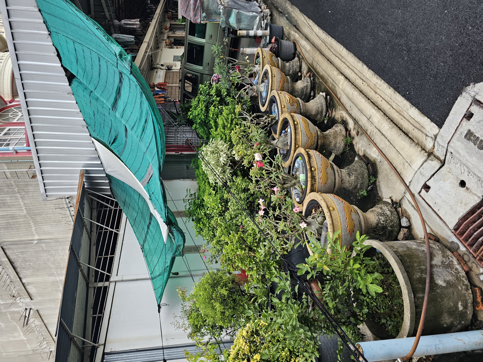 A view of a street in Bangkok, Thailand, features a row of potted plants lining the walkway. The plants, some of which are flowering, are contained in decorative urns supported by pedestals. Behind the plants, a green mesh awning is stretched across the area, providing shade. A light-colored building with a corrugated metal roof is visible in the background. To the right, a dark green vehicle is parked. The ground consists of asphalt and concrete pathways. The scene suggests a residential or commercial area with an emphasis on outdoor greenery.