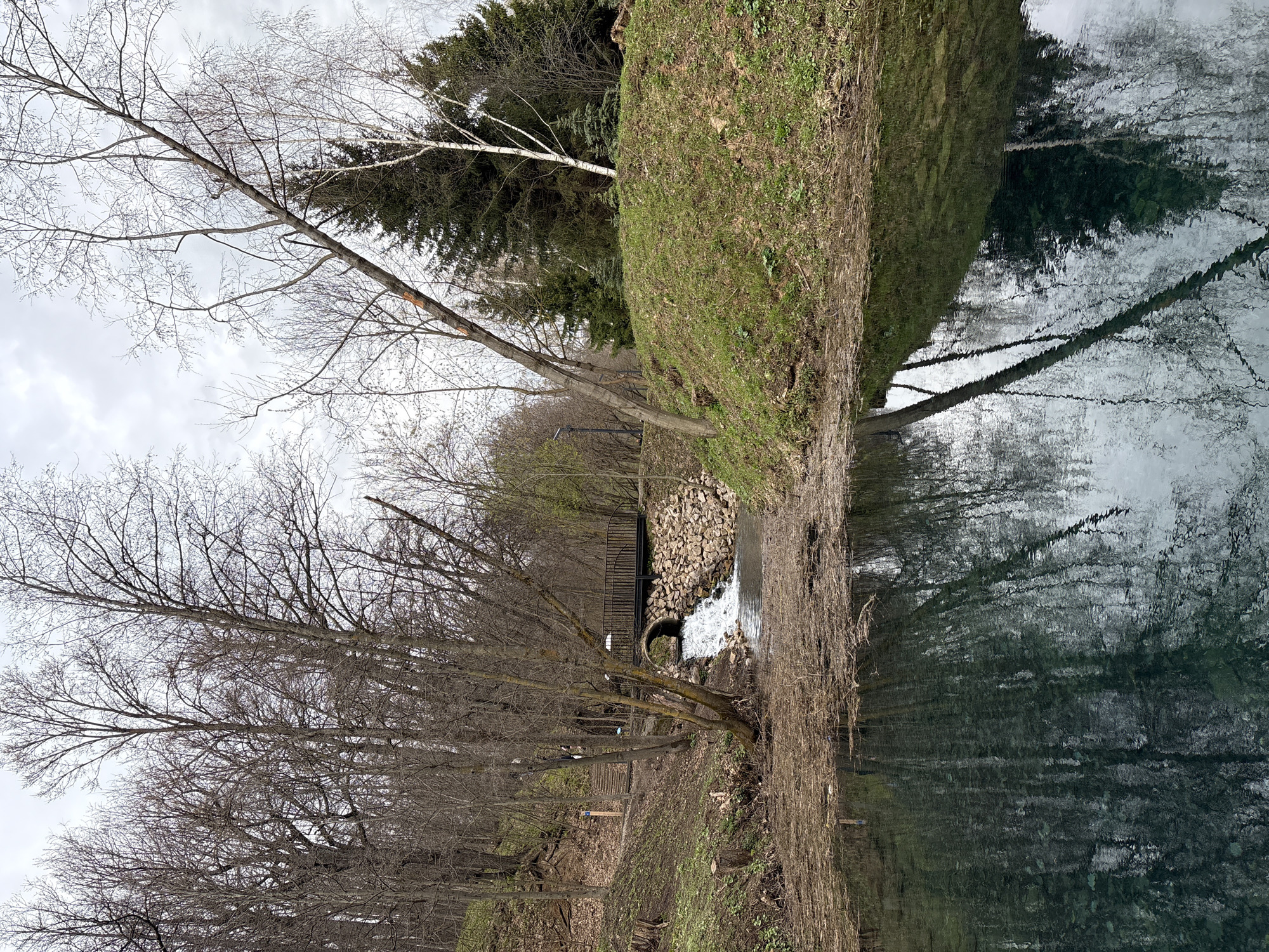 This portrait-oriented photograph captures a tranquil natural landscape in Sdt Shcherbakovka, Russia, likely during late winter or early spring. The scene features a body of water, wooded banks, and an overcast sky.
The upper portion of the image is dominated by a light gray, cloudy sky. Numerous bare deciduous trees with intricate branches extend upwards, primarily on the left side of the frame. Among these, a birch tree with distinctive white bark is visible, and further back, darker evergreen trees stand out.
A gently sloping bank, covered with patchy green grass and some dry, brown vegetation, defines the left edge of the water. In the mid-ground, a small waterfall or weir is visible, where white, churning water cascades over rocks, appearing to flow from a large, dark culvert or pipe. An arching dark metal footbridge spans the water just beyond this point.
The right side of the photograph features the calm surface of the water, which vividly reflects the bare trees, the overcast sky, and the distant evergreens, creating a textured and somewhat rippled mirror image. There are no people present, and no discernible text. The overall atmosphere conveyed is one of quiet, natural beauty on a subdued, cloudy day.