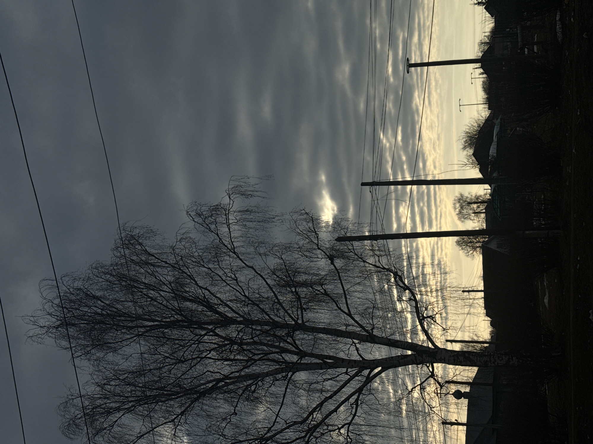The image depicts a somber, overcast scene in Фоки, Russia. The foreground is dominated by a bare birch tree, its intricate network of branches silhouetted against the sky. Electrical wires stretch across the frame, adding to the industrial feel of the location. In the background, utility poles stand tall amidst dark silhouettes of houses and trees. The sky is filled with a unique cloud formation, displaying parallel lines that suggest either heavy cloud cover or a type of cirrostratus cloud. The overall atmosphere is muted, with a palette of dark grays and contrasting bright patches of light.