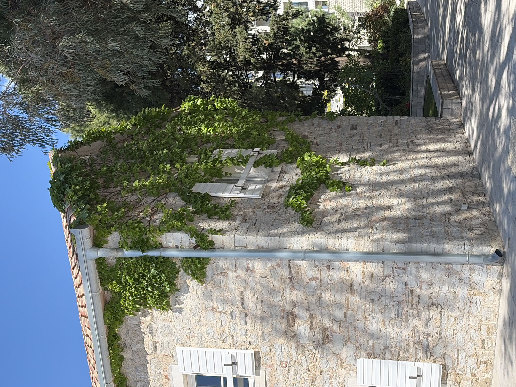The image shows a stone building in Meljine, Montenegro. The building is covered in ivy and has white window shutters. A gray gutter runs horizontally along the side of the building. The sky is blue and clear. A tree with soft, thin leaves is in the upper left. Other trees are visible behind the building. A sidewalk with shadow patterns from the trees is in the background on the right side.