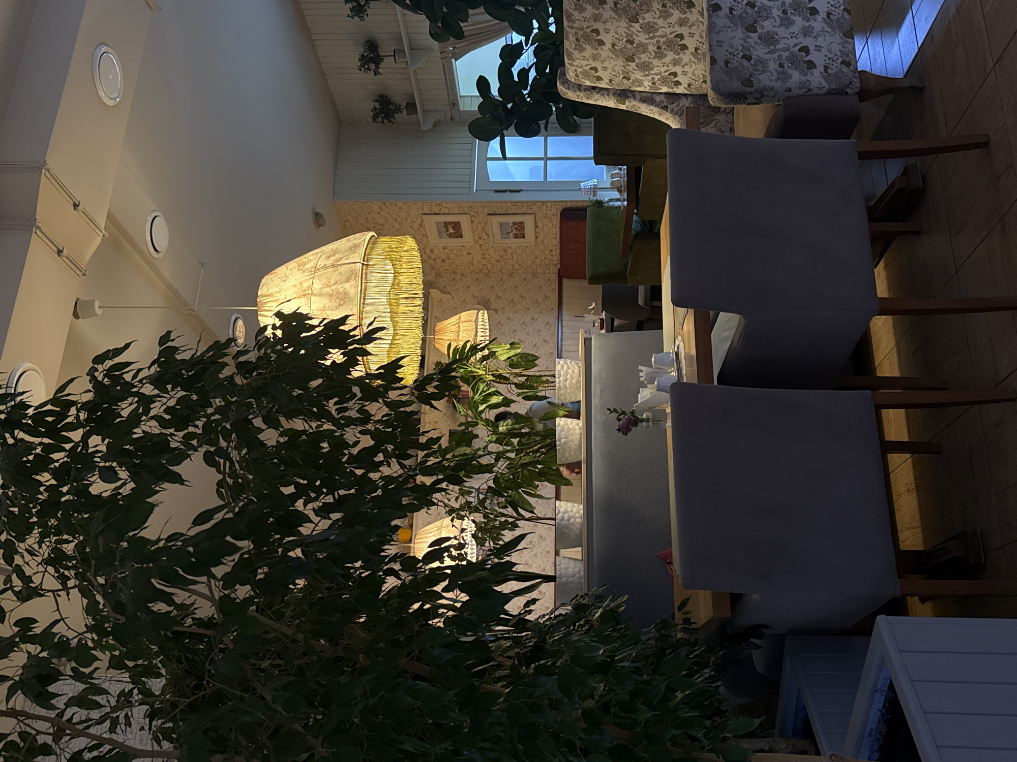 The image depicts an indoor scene of a dining area within a restaurant in Abinsk, Russia. A large potted ficus tree dominates the left foreground, partially obscuring the view of the interior. The restaurant features multiple tables and chairs, with a focus on a table set for dining in the mid-ground, covered with a light-colored tablecloth. Two upholstered chairs, one dark gray and one with a floral pattern, are visible. In the background, several other tables and seating areas can be seen, including green upholstered chairs around a table and a patterned armchair. Decorative elements such as hanging lamps with fringed shades, framed pictures on the wall, and potted plants add to the ambiance. A window with white cross-panes is visible in the right background, allowing some natural light to enter. The overall lighting suggests a warm, inviting atmosphere.