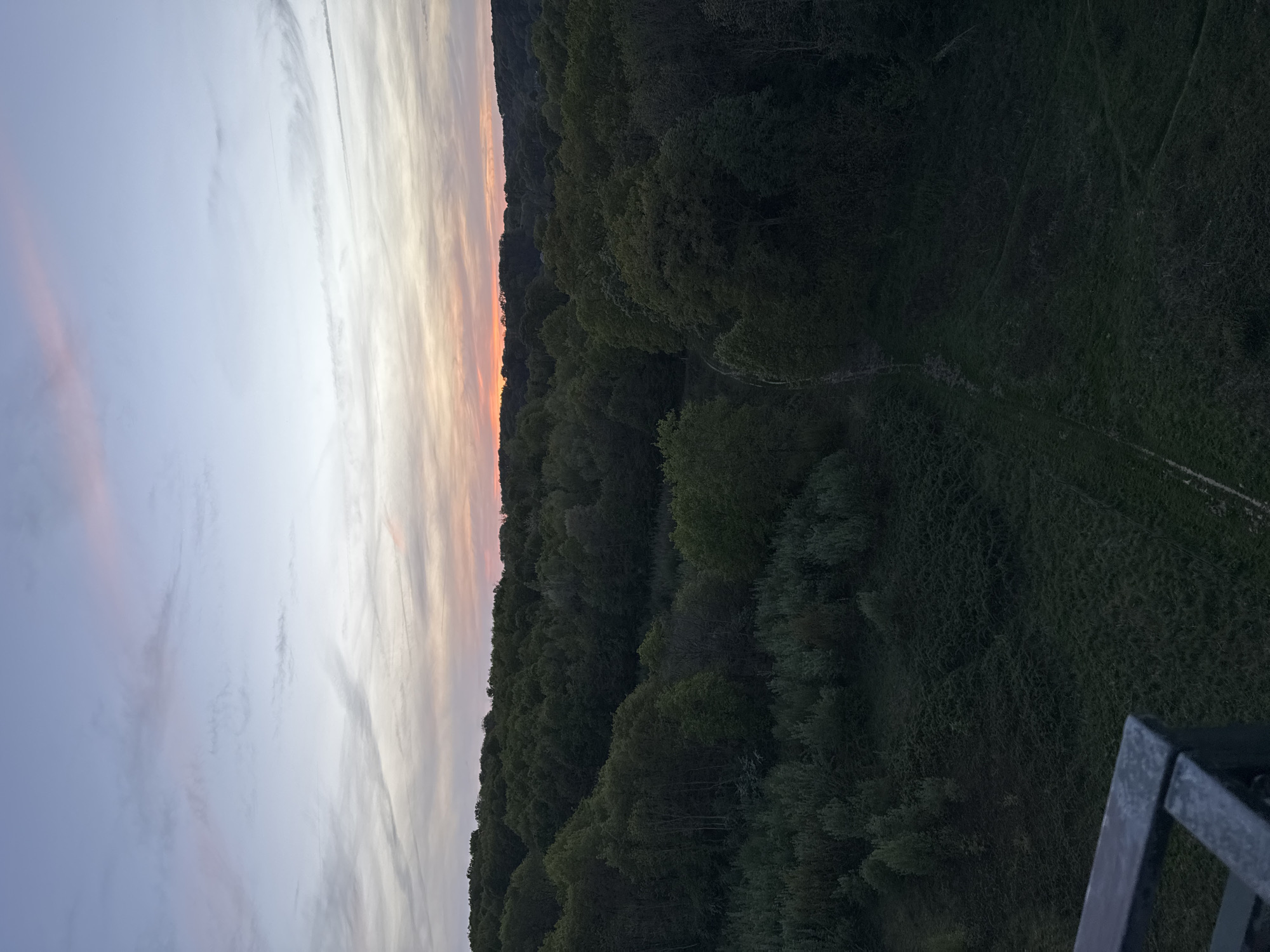 This image captures a serene landscape view at either sunrise or sunset, looking over a dense forest from an elevated perspective. The sky, occupying the upper portion of the frame (when correctly oriented), displays a beautiful gradient of colors, transitioning from soft light blue on the left to warm pinks, oranges, and pale yellows towards the right horizon, indicative of twilight. Wispy, delicate clouds and several faint linear contrails are visible across the sky.
A prominent line of dark, heavily treed hills or a ridge forms the horizon, separating the colorful sky from the expansive forest below. This distant tree line shows a subtle orange glow where it meets the brightest part of the sky, suggesting the sun is just below it. The middle ground and foreground are dominated by a vast, dark green forest, covering what appears to be a valley or undulating terrain. The trees are deep in shadow, creating a rich, textured tapestry of foliage. Within the forest, faint, lighter lines suggest winding paths or clearings.
In the bottom right corner, a dark, metallic railing or part of a viewing platform is visible, indicating the photograph was taken from an elevated vantage point, likely a lookout. The scene conveys a peaceful and contemplative mood, showcasing the natural beauty of the area, possibly near Bures-sur-Yvette, France. No discernible text is present in the image.