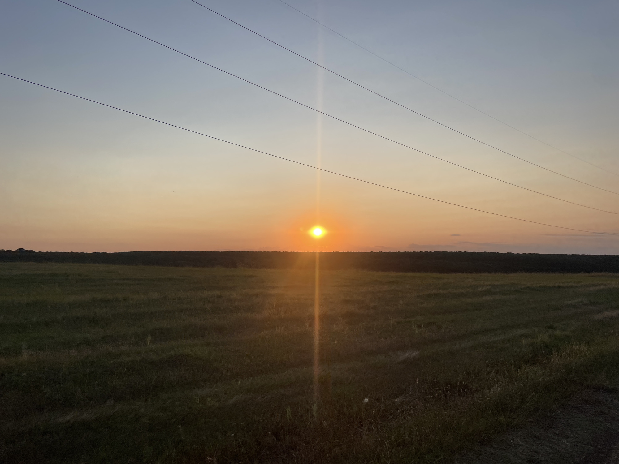 The image depicts a sunset scene over a rural landscape in Zheglartsi, Bulgaria. The sun, a bright orb, is positioned near the horizon, casting a warm orange glow across the sky and the foreground. Several power lines stretch horizontally across the upper portion of the image. The landscape below consists of a vast, grassy field, with a dark line of trees forming the horizon. The overall atmosphere is serene and natural, indicative of a rural setting at dusk. There are no people or animals visible in the image.