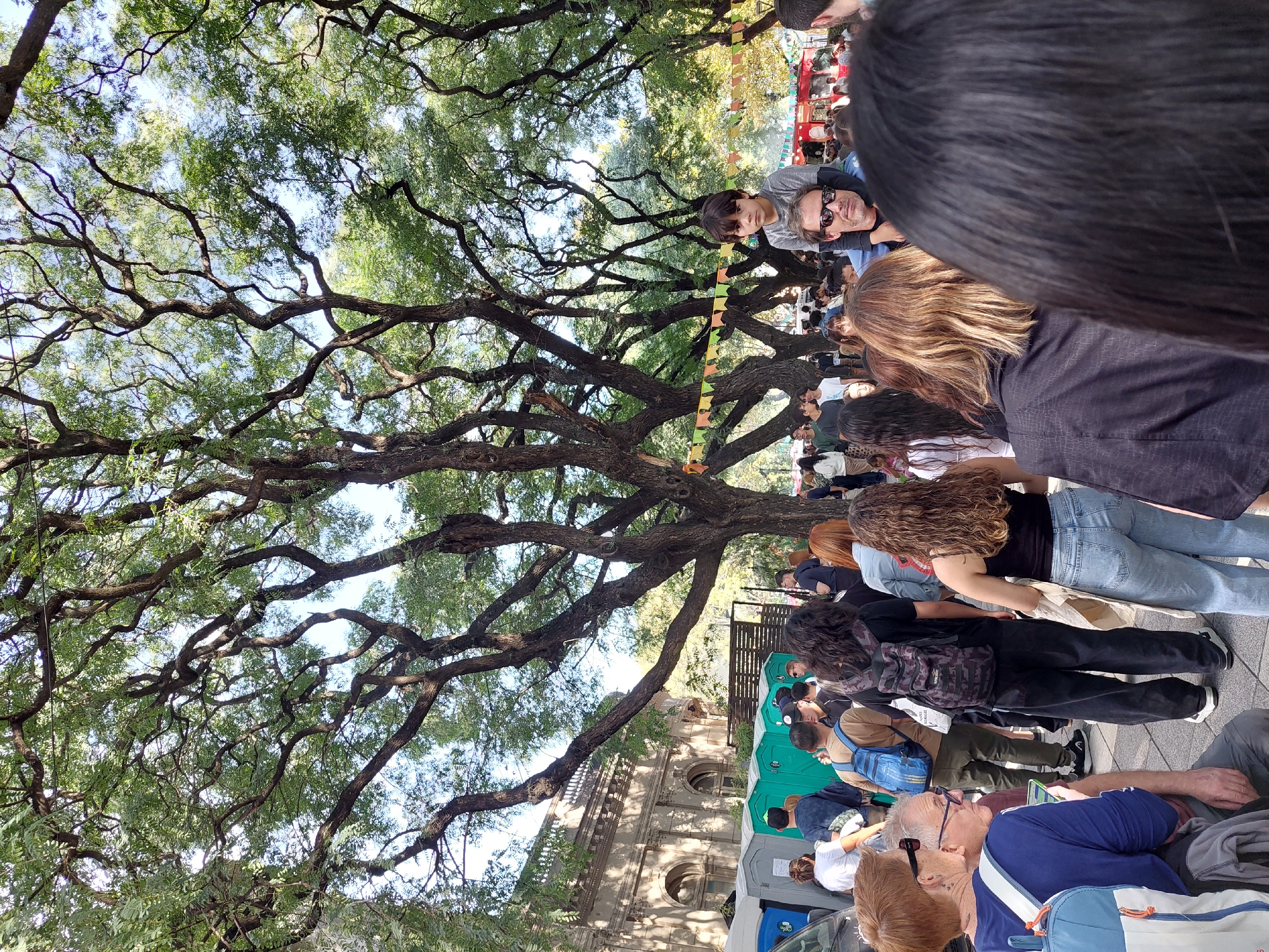 The image shows a crowded street scene in Buenos Aires, Argentina, likely during an outdoor event or festival. Many people are visible, standing close together and looking in the same direction. A large tree with extensive branches and leaves dominates the left side of the image, providing shade for the crowd. Decorations like colorful pennant flags are strung along the branches. Several portable toilets are lined up along the side of the road, indicating a planned event. In the background, a building with architectural details can be seen. A man with sunglasses is holding a young boy on his shoulders to provide him a better view of what is ahead.