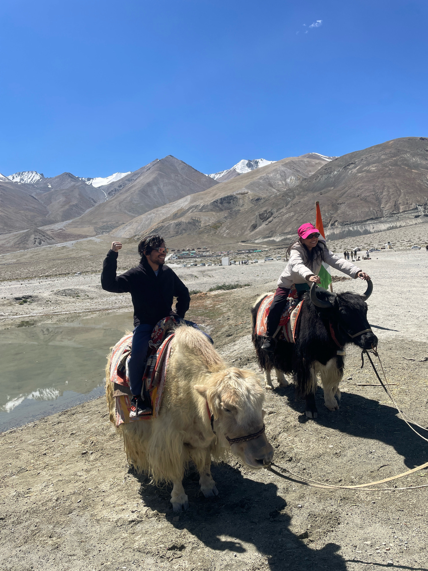 Two people are riding yaks in a mountainous region of India. The person on the left is a man wearing a black jacket and sunglasses, and he is raising his right fist in the air. He is riding a white yak. The person on the right is a woman wearing a pink hat and a light-colored jacket. She is riding a black yak, and an Indian flag is planted behind her. The yaks are saddled with colorful blankets. In the background, there are mountains with snow-capped peaks, a body of water, and a village with buildings and vehicles. The sky is clear and blue.