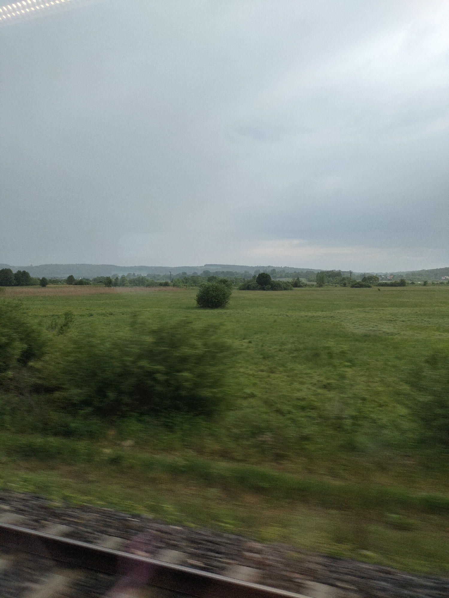 The image captures a wide, expansive rural landscape viewed from a moving train or vehicle on an overcast day. The perspective is looking out of a window, with the bottom left of the frame showing part of the train tracks and ballast, heavily blurred due to motion.
In the foreground, just beyond the tracks, is a band of lush green vegetation, also exhibiting significant horizontal motion blur, indicating rapid movement. The mid-ground is dominated by a large, flat green field, likely pastureland, stretching across the width of the frame. A single, distinctively bushy, dark green tree stands centrally in this field. Other clumps of bushes and smaller trees are scattered throughout the mid-ground. Towards the right side of the frame, a tall, slender telephone pole with wires is visible amidst the distant greenery.
In the background, a line of rolling hills extends horizontally across the horizon, appearing hazy and muted in color, suggesting distance and the overcast conditions. Small clusters of houses or buildings can be faintly discerned nestled among the trees on these distant hills. The sky occupies the upper half of the image and is uniformly light grey, completely overcast, with no direct sunlight visible. The overall lighting is soft and diffused.
There are no people visible in the image, and no discernible text. The scene evokes a sense of quiet travel through a serene, natural landscape on a cloudy day.