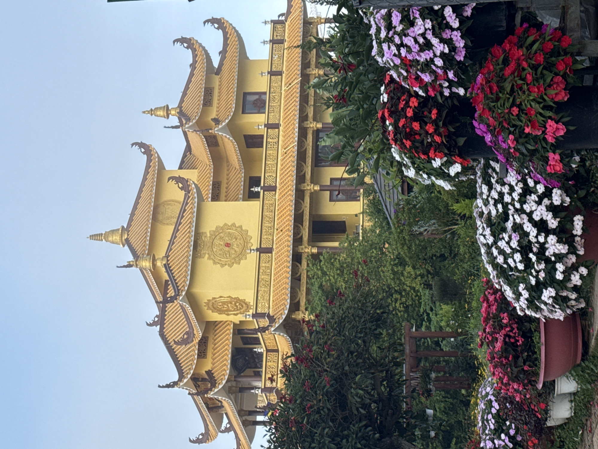 This image depicts a vibrant and lush scene in Da Lat, Vietnam, featuring a prominent yellow Buddhist temple with ornate, tiered golden roofs against a hazy sky. In the foreground, a variety of potted flowering plants in shades of red, pink, white, and purple create a colorful display. Lush green trees and foliage surround the temple, adding to the serene and natural beauty of the location. The temple's architecture is distinctly Asian, characterized by its intricate decorative elements and upward-curving rooflines, suggesting a cultural and spiritual landmark within Da Lat. The overall atmosphere is tranquil and picturesque, highlighting the blend of architectural grandeur and natural flora that characterizes this Vietnamese city.