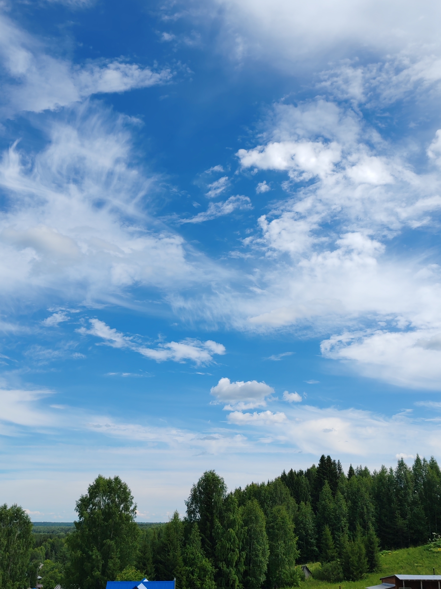 The image depicts a bright, partly cloudy sky over a densely wooded rural landscape. Wispy white cirrus clouds are scattered across a vibrant blue sky, with larger, fluffier cumulus clouds present. Below the sky, a thick band of various green trees dominates the middle ground, interspersed with patches of green grass. The terrain appears to be sloped. In the foreground, a bright blue metal roof of a building is visible on the lower left, and a small wooden structure is partially visible on the lower right, suggesting a village or sparsely populated area. The overall scene is one of a natural, pastoral setting with clear evidence of human habitation. The image quality is good, with sharp focus and natural colors, consistent with a daytime photograph taken outdoors. Based on the provided context, the image is associated with the city of Chuchlem, Russia, and captures a view of its surrounding countryside.