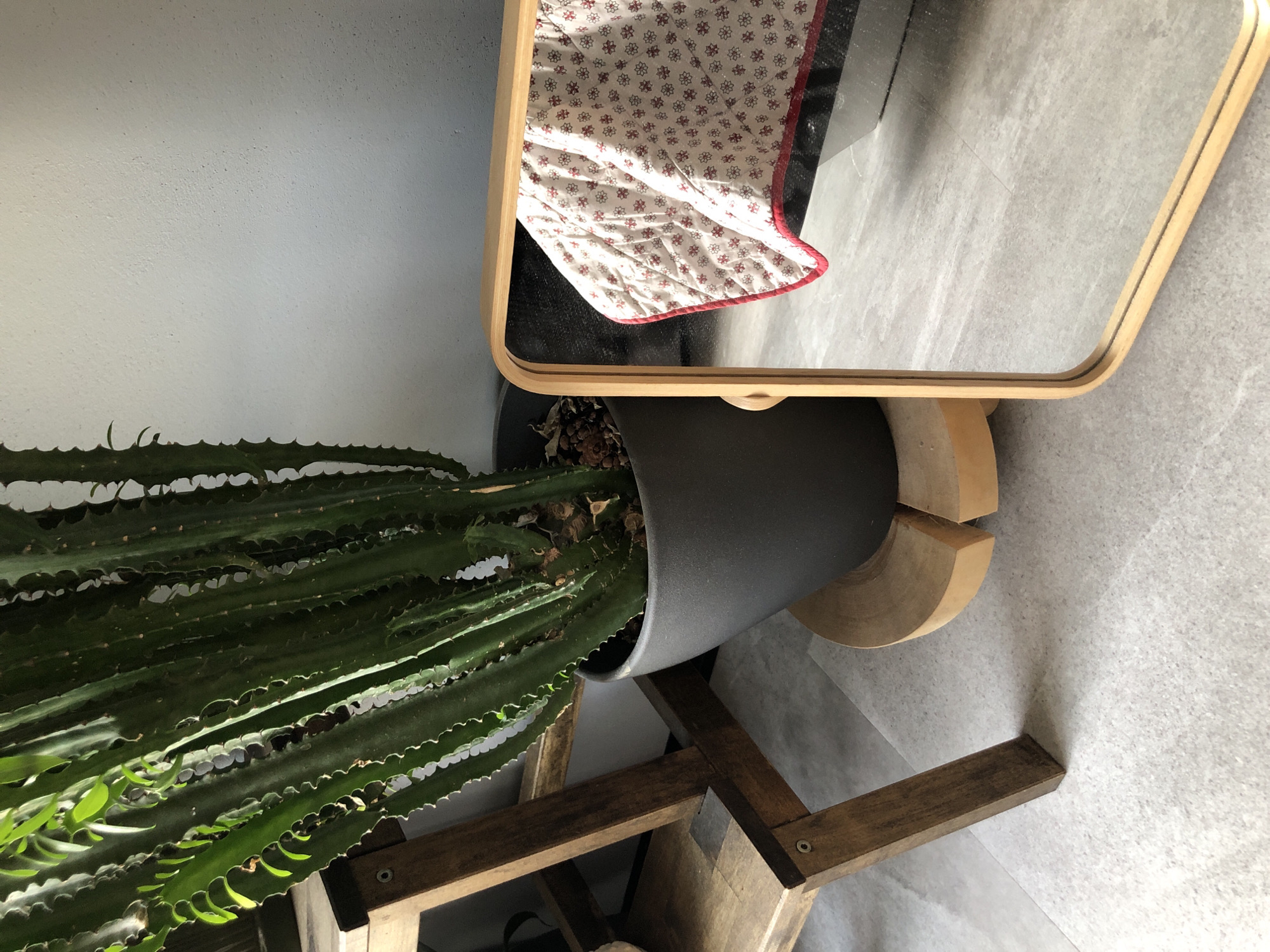This is a medium shot, eye-level, indoor photograph of a corner of a room. The dominant subject is a tall, green cactus in a dark grey pot, situated on a light wood stand. To the left of the cactus is a wooden step stool. To the right of the cactus, a framed mirror with a light wood frame reflects a portion of a quilted fabric with a repeating pattern of small red flowers on a light background. The floor is covered in light grey tiles. The wall behind the cactus is a textured light grey. No people are present in the scene. The lighting suggests it is daytime, with natural light entering the room from the right, casting shadows. The location is identified as Saint Petersburg, Russia.
