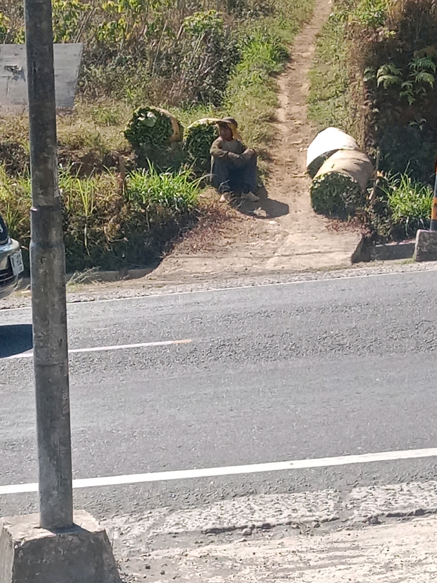 A person is sitting on a dirt path next to a road, with large bundles of vegetation on either side of the path. The person is wearing a hat and dark clothing. The vegetation appears to be freshly cut and is wrapped in large bags or tarps. The path leads uphill and is flanked by dry grass and bushes. The road in the foreground is paved and has a white line marking the edge. The scene is outdoors, with bright sunlight casting shadows. The overall impression is one of rural or agricultural activity.