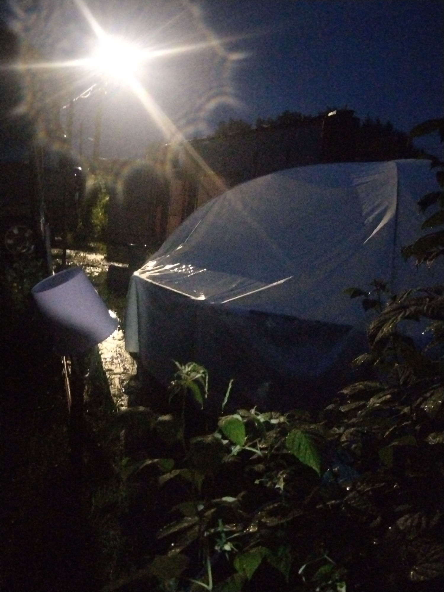 The image depicts an outdoor scene at night in what appears to be a residential area, possibly in the village of Зипуново, Russia. A bright, intense light source, possibly a streetlamp or a powerful floodlight, dominates the upper left portion of the frame, casting strong glare and lens flares across the image. In the center of the scene, a large object covered with a blue tarp is visible, suggesting it could be a small greenhouse, a storage unit, or some form of temporary shelter. The tarp is wrinkled and appears wet, indicating recent rain or dew. To the left of the tarped object, a light-colored, cone-shaped object, possibly a watering can or a funnel, is positioned on the ground, tilted upwards. The foreground is filled with dark foliage, likely bushes or plants, also appearing wet. The background shows a dark, silhouetted treeline against a night sky. The overall impression is a dimly lit, wet outdoor environment with a prominent artificial light source.
