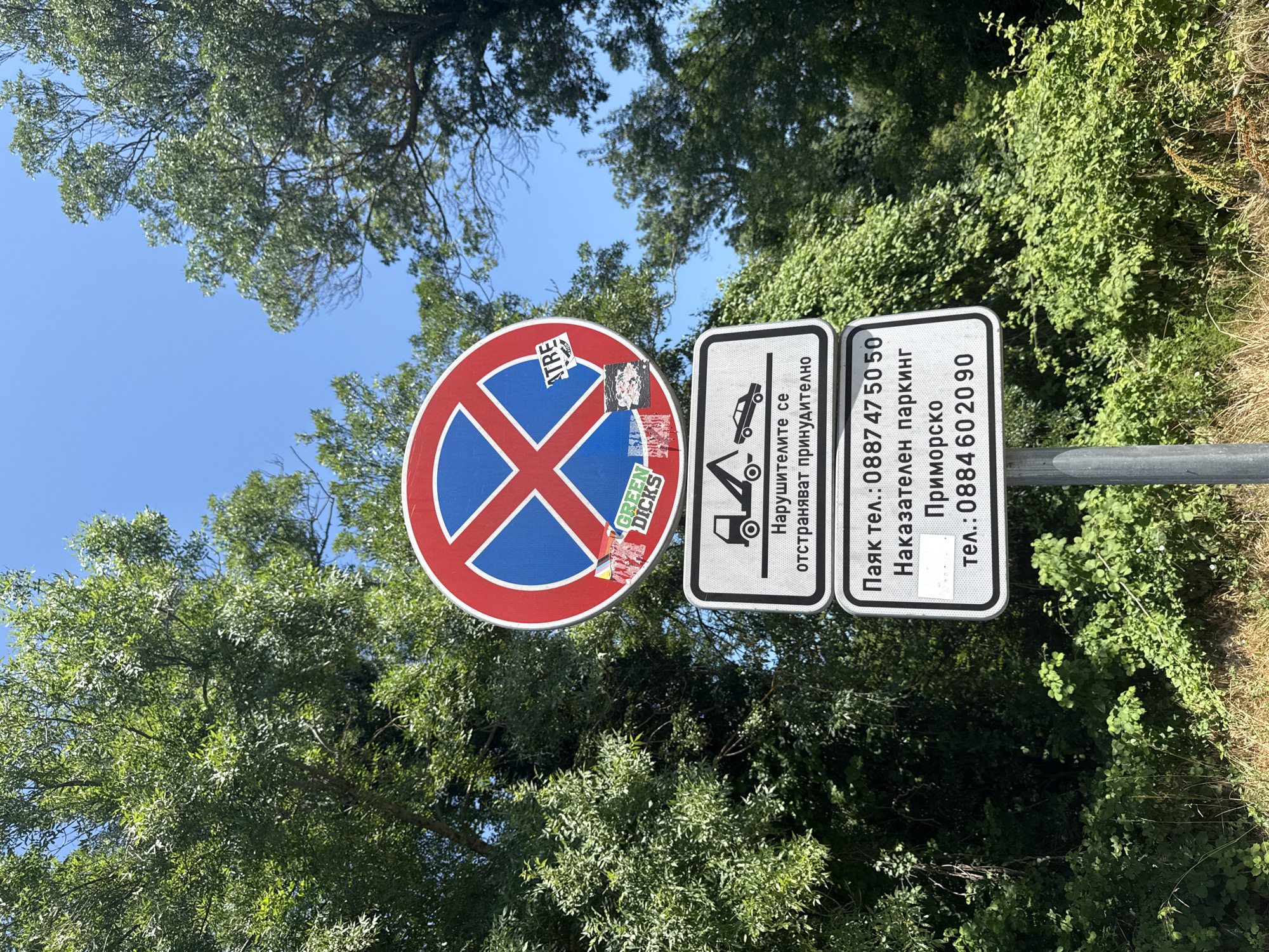The image shows a street sign in Dyuni, Bulgaria. The sign has a red circular border with a blue background and a red diagonal cross, indicating no stopping or parking. There are several stickers on the sign, including one with the text "GREEN DICKS". Below the no stopping/parking sign is a rectangular sign with a tow truck icon and text that reads "Нарушителите се отстраняват принудително", which translates to "Violators are forcibly removed". Further down, another rectangular sign lists phone numbers: "Паяк тел.: 0887 47 50 50" (Spider/Towing truck phone: 0887 47 50 50) and "Наказателен паркинг Приморско тел.: 0884 60 20 90" (Enforcement parking Primorsko phone: 0884 60 20 90). The signs are mounted on a metal pole, and the background consists of lush green trees and a clear blue sky. The scene appears to be outdoors, likely on a roadside. There are no people or animals visible in the image.
