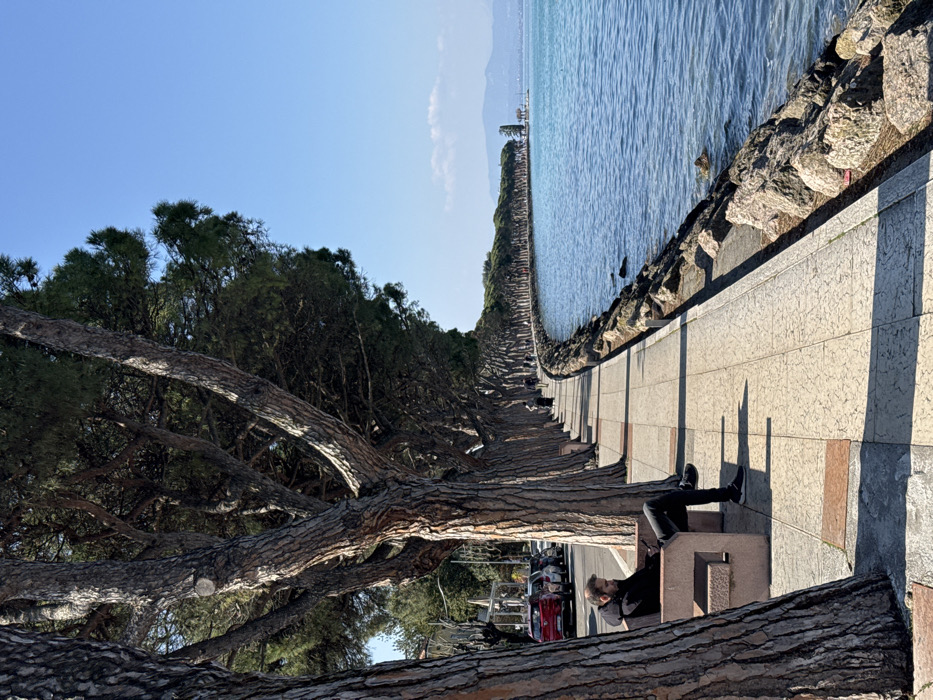 The image displays a sunlit lakeside promenade located in Peschiera del Garda, Italy, along the shores of Lake Garda. A paved pedestrian walkway, constructed from light-colored square tiles, extends from the foreground into the distance, curving gently to the right. This walkway is bordered on its left by a continuous line of mature trees with rough, dark bark and dense green foliage, casting long, distinct shadows across the path.
To the right of the promenade, the blue-green water of Lake Garda is visible, bordered by a rocky embankment composed of irregularly shaped stones. The sky above is clear and bright blue. In the foreground, an adult male, with a beard and wearing a dark hooded jacket, dark trousers, and dark athletic shoes, is seated on a light-colored stone bench located beneath the trees. He is observed looking down at a mobile phone held in his hands.
Further along the promenade, several other individuals are visible walking in the distance, partially obscured by the tree line. To the far left, behind the trees, a street is discernible with multiple parked vehicles, including a red hatchback. In the distant background, across the lake, a low mountain range is visible beneath the clear horizon, with a solitary, tall structure, possibly a lighthouse or a pier marker, rising from the water in the mid-distance.