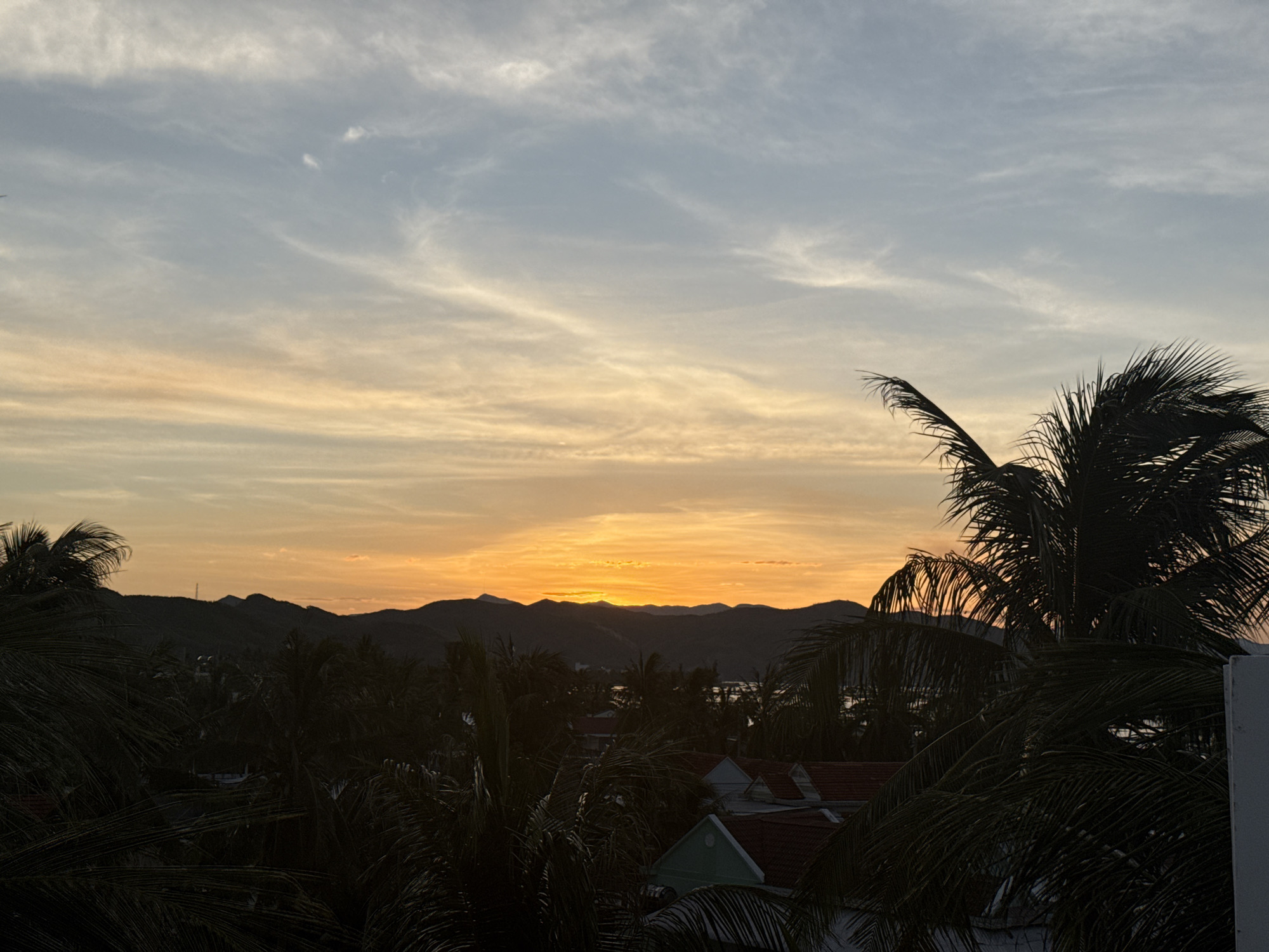 This image depicts a sunset over the city of Song Cau, Vietnam, as viewed from a rooftop. The sky is a gradient of colors, with pale blue and wispy white clouds at the top transitioning to bands of orange and yellow as they approach the horizon. The sun itself is a bright orange disc, partially obscured by the silhouettes of distant mountains. In the foreground, the dark silhouettes of palm trees dominate the lower portion of the frame, their fronds creating a textured curtain. Beneath the palm trees, the rooftops of several buildings are visible, some with red tile roofs and others painted in muted colors. Beyond the buildings, a body of water can be glimpsed, leading towards the mountainous landscape. The overall scene is one of tropical tranquility as day transitions to night.
