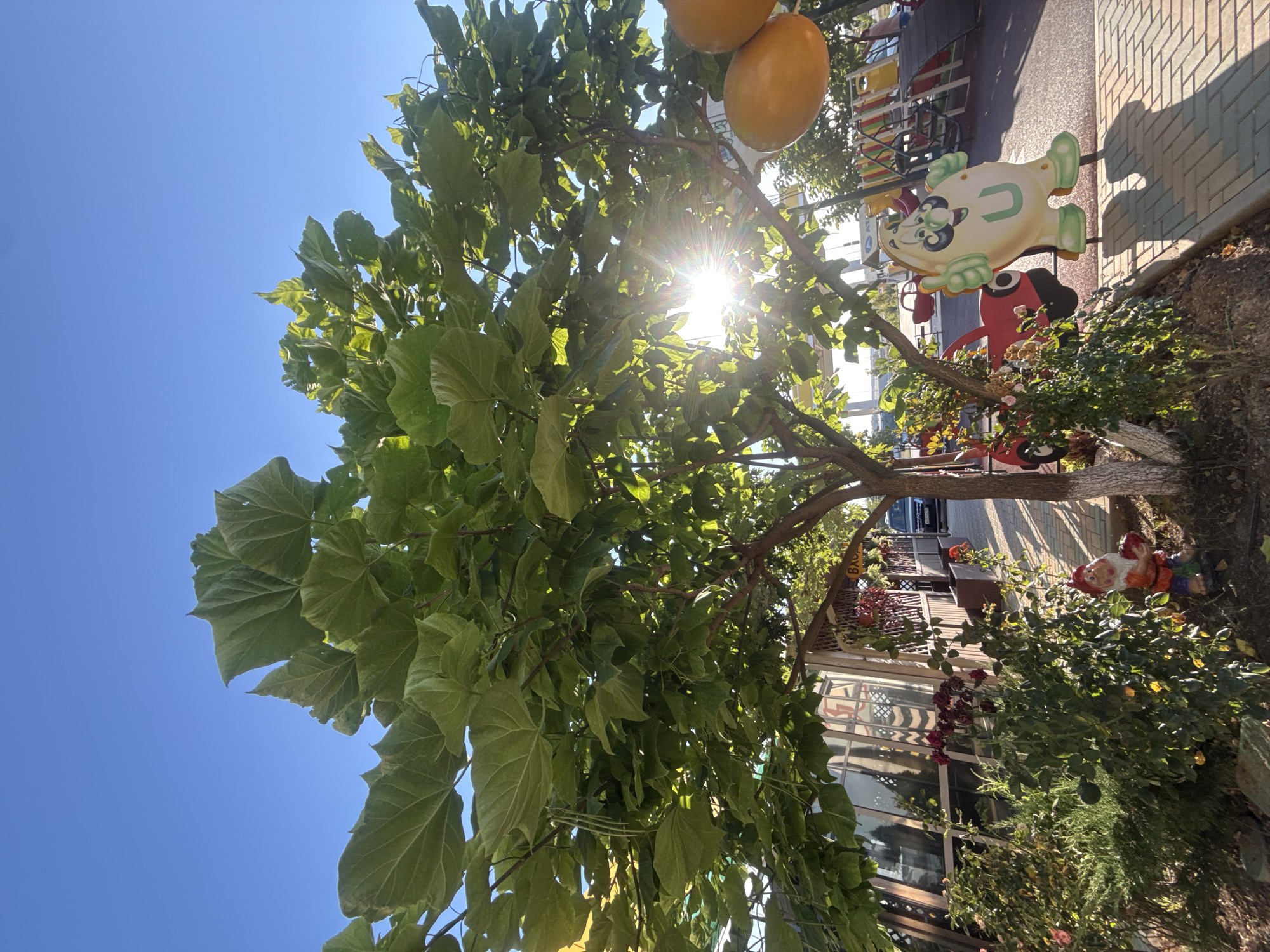 The image captures a scene in the city of Zuy, Zuy's rural settlement, Ukraine, on a bright, sunny day. A large tree with expansive green leaves dominates the foreground, its branches reaching towards a clear blue sky. Sunlight streams through the foliage, creating a lens flare effect. To the left of the tree, a building with large glass windows is partially visible, with a pathway leading towards it. Adjacent to the pathway, a small garden area features red roses and a garden gnome. To the right of the tree, a playground is partially visible, with colorful structures and a large cartoonish figure with a mustache and the letter "U" on its chest. Behind the tree, a red toy car is positioned. In the background, a dark-colored SUV is parked. The ground is paved with interlocking bricks.