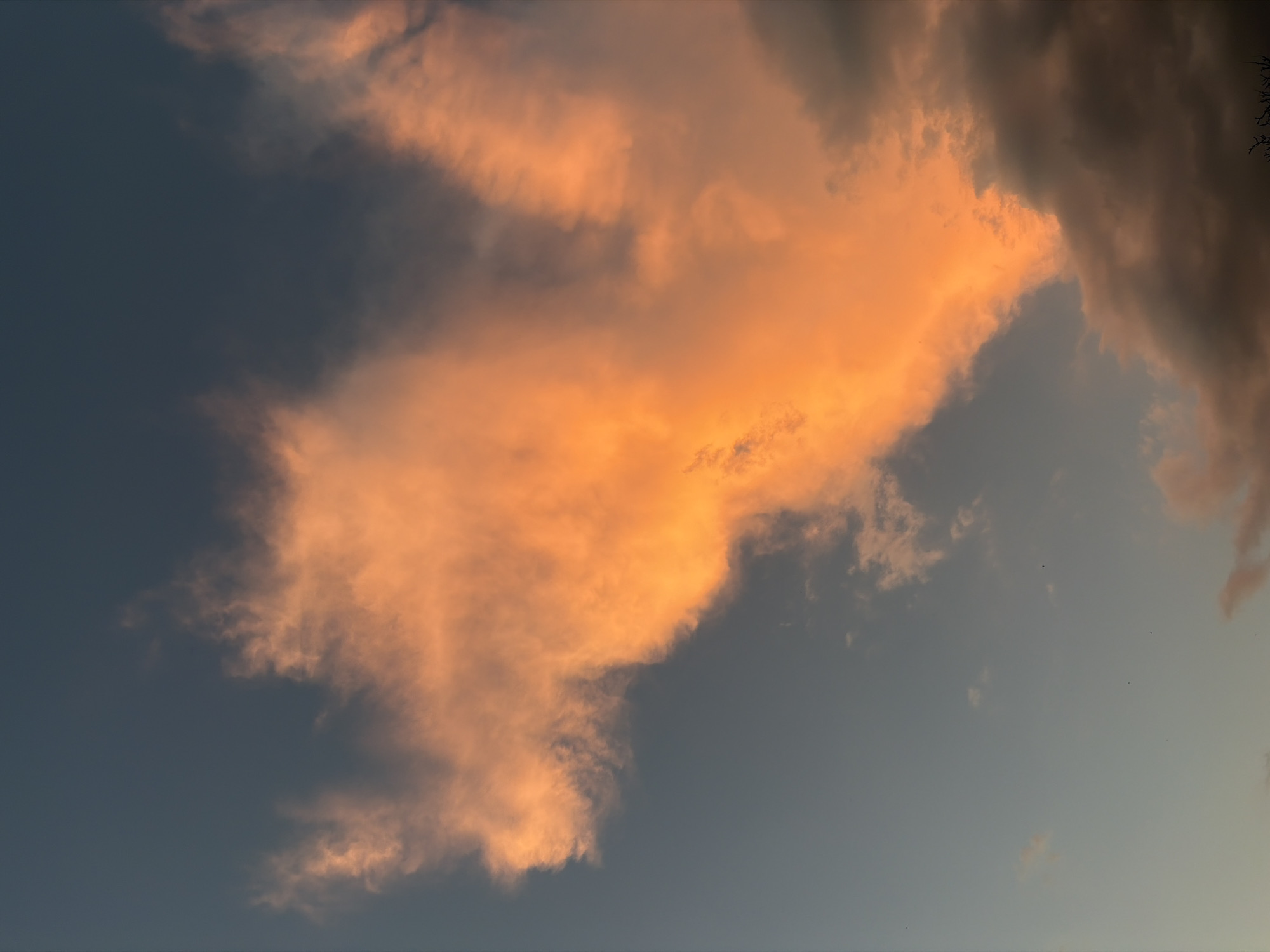 This media file captures a dramatic sky during what appears to be sunset or sunrise. The primary subjects are clouds, with a large, vibrant mass of orange and pink clouds dominating the left and center of the frame. These illuminated clouds are contrasted by darker, more ominous grey clouds on the right side of the image. The sky itself transitions from a deep, dusky blue to a lighter, softer grey-blue towards the bottom. The overall scene evokes a sense of awe and the fleeting beauty of natural light phenomena. There are no discernible people or objects, and no specific location cues are visible, except for a hint of dark, silhouetted branches in the upper right corner, suggesting the presence of trees. The weather appears to be partly cloudy, with the dramatic lighting indicative of a change in atmospheric conditions. The emotional tone conveyed is one of grandeur and a touch of mystery, due to the interplay of light and shadow. There is no visible text in the media file.