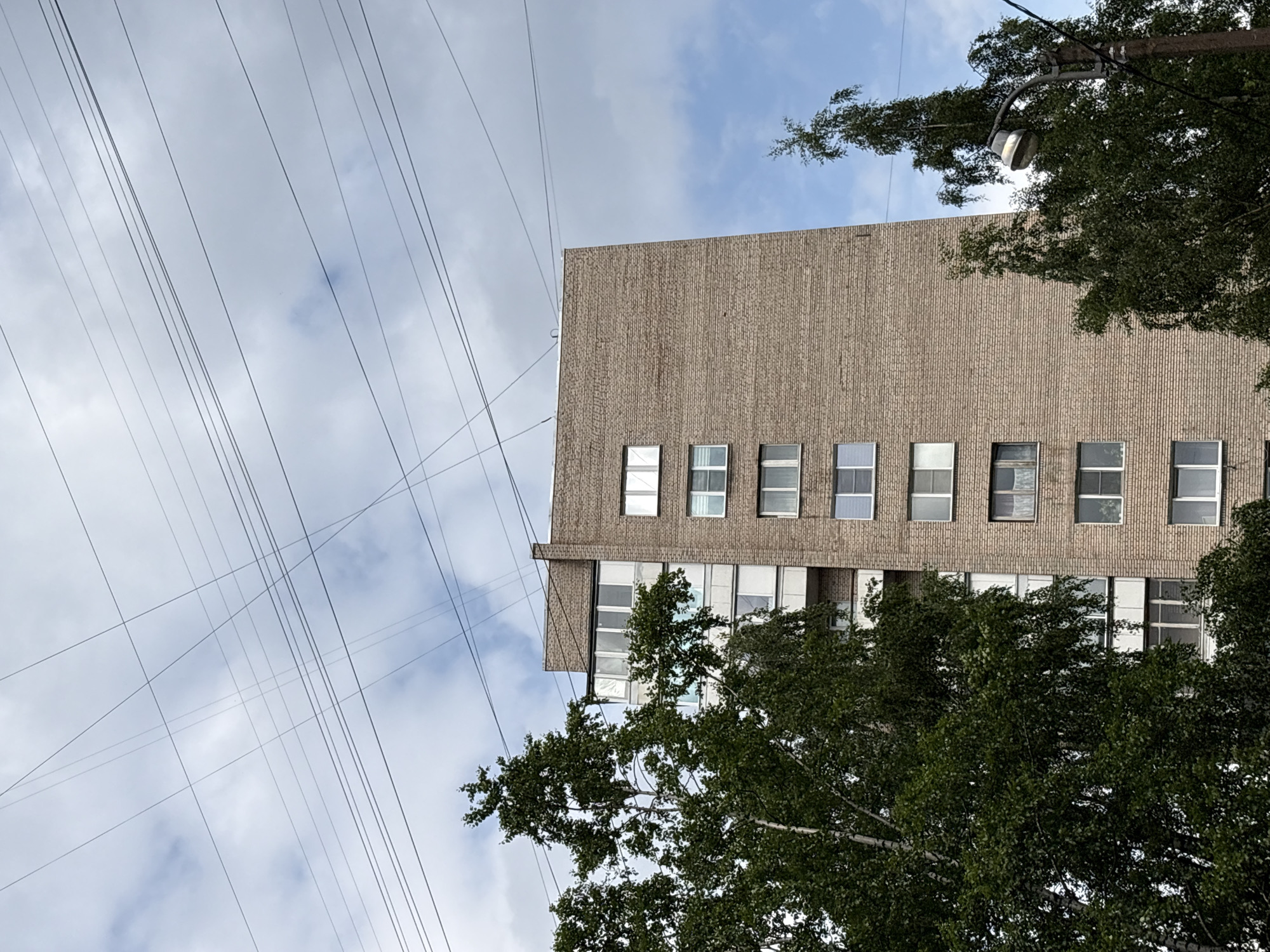 An exterior, medium-shot, eye-level view of a multi-story apartment building in Saint Petersburg, Russia, with trees and overhead power lines in the foreground. The building is constructed of light brown brick and has several floors of windows, some of which are partially obscured by white balcony railings. To the left of the building, a large deciduous tree with dark green foliage obscures a portion of the structure. To the right, another tree with lighter green leaves is visible, along with a street lamp on a concrete pole. The sky above is partly cloudy with a mix of blue sky and white clouds. Numerous power lines crisscross the sky horizontally and diagonally. The overall scene depicts an urban residential area under a cloudy sky.