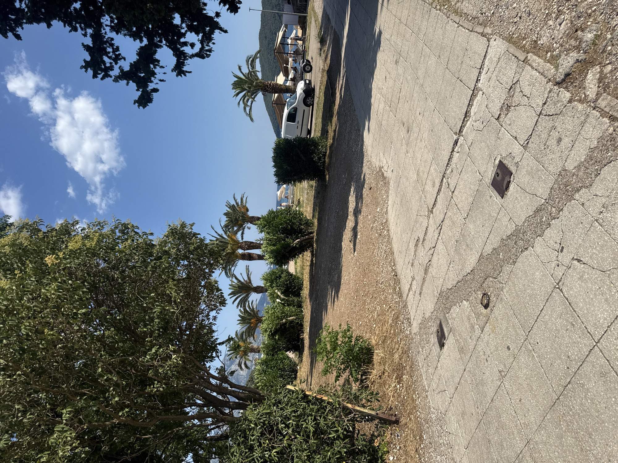 The image depicts a sunlit outdoor scene in Budva, Montenegro, characterized by a paved walkway in the foreground with visible cracks and some missing tiles. Beyond the walkway, a dirt path leads towards a beach area. Several palm trees are scattered throughout the scene, with lush green bushes and larger trees framing the sides. A white van is parked on the dirt path, hitched to a small trailer. In the background, beach umbrellas and a few people are visible near the shoreline, suggesting a public beach. The sky is clear blue with a few white clouds, and distant hills are visible. The overall impression is one of a relaxed, coastal environment.