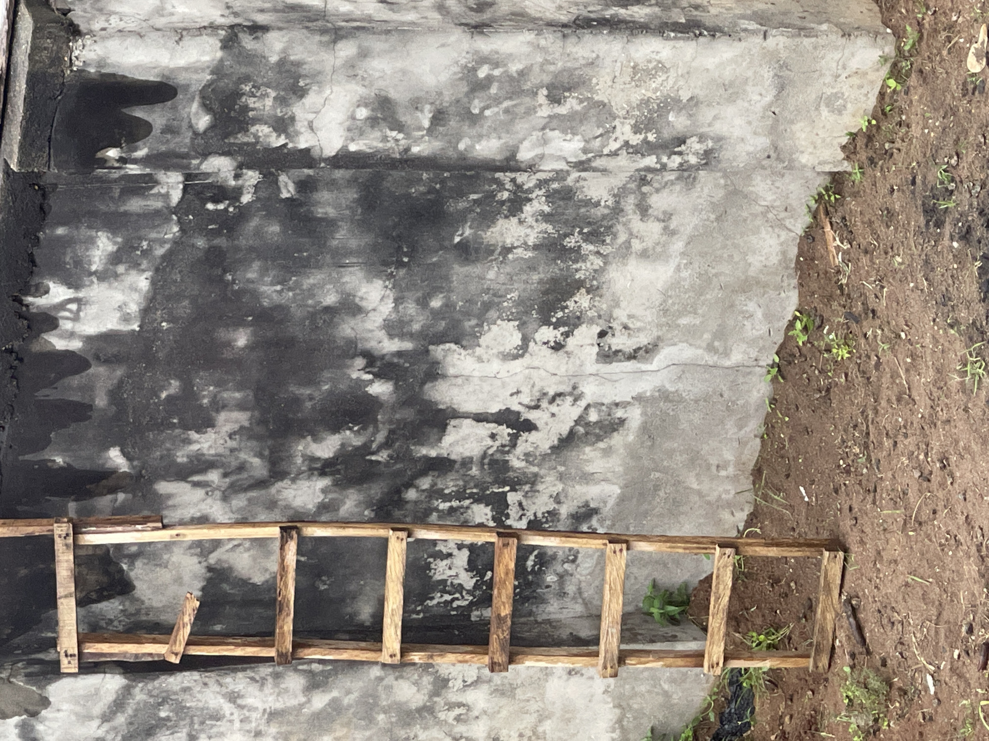 The image shows a concrete surface next to a patch of dirt, with a crude wooden ladder lying across both. The concrete is stained and cracked, showing signs of age and weathering. The soil appears dark and disturbed, possibly recently turned. The ladder is roughly constructed, with uneven spacing between rungs, and one rung broken. The location is likely Abraka, Nigeria, given the prompt.